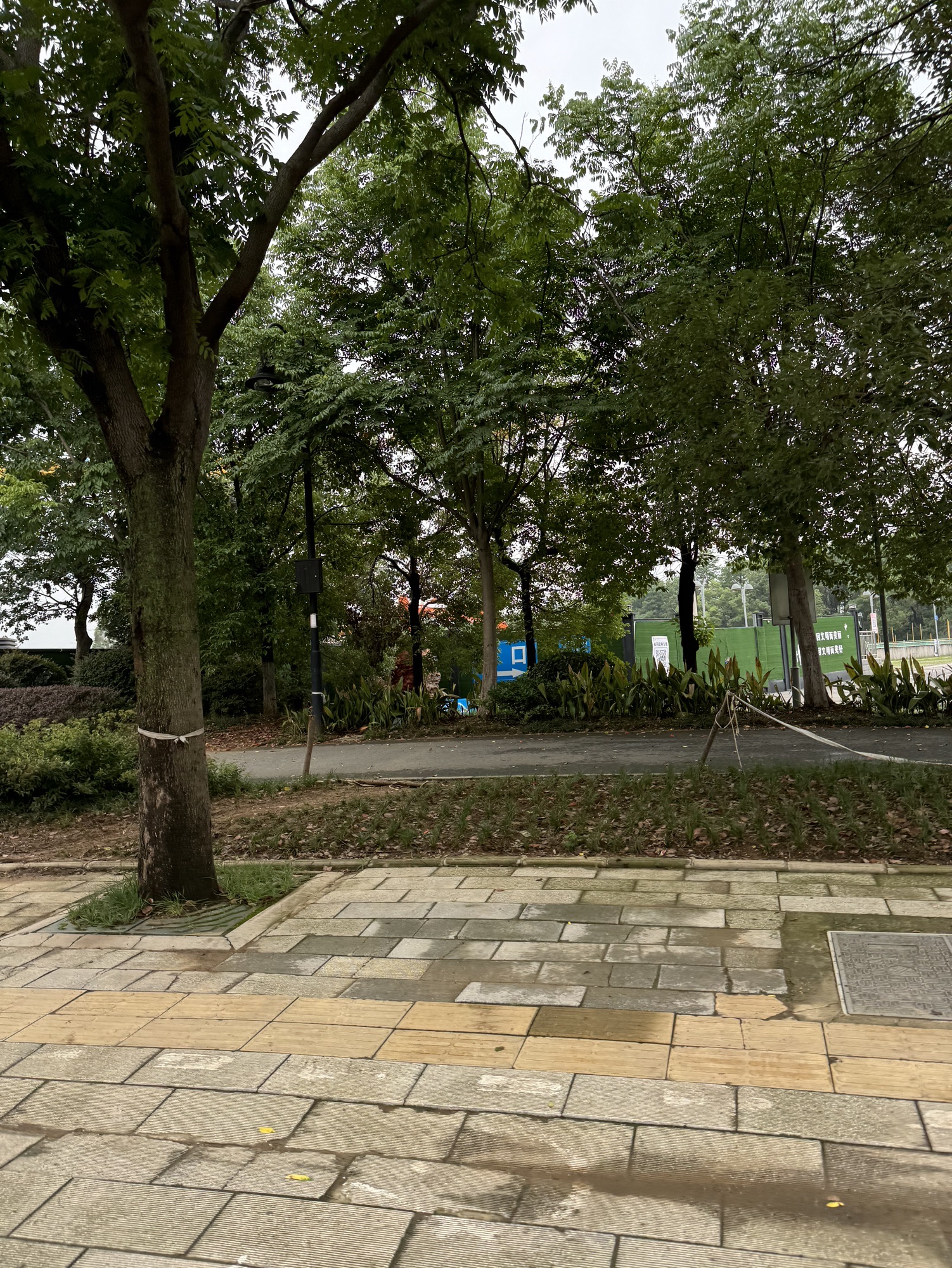 磨山揽翠旅行图片 3