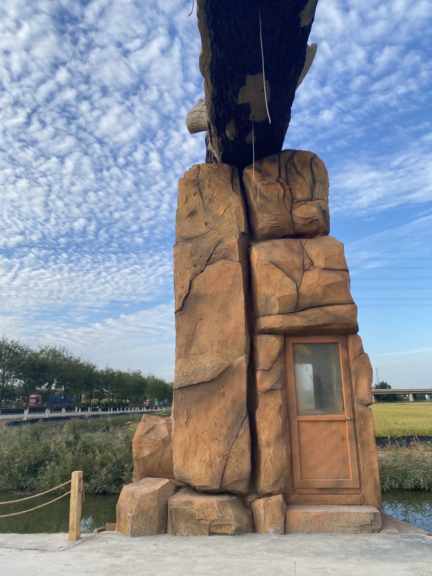 七里海鸟类保护区旅行图片 2
