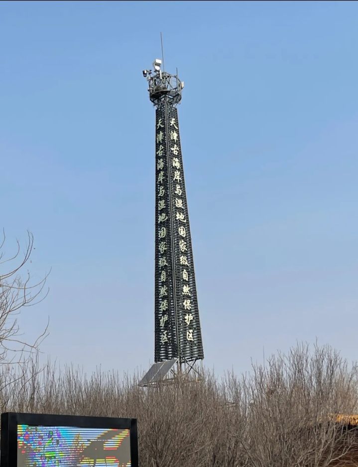 七里海鸟类保护区旅行图片 1