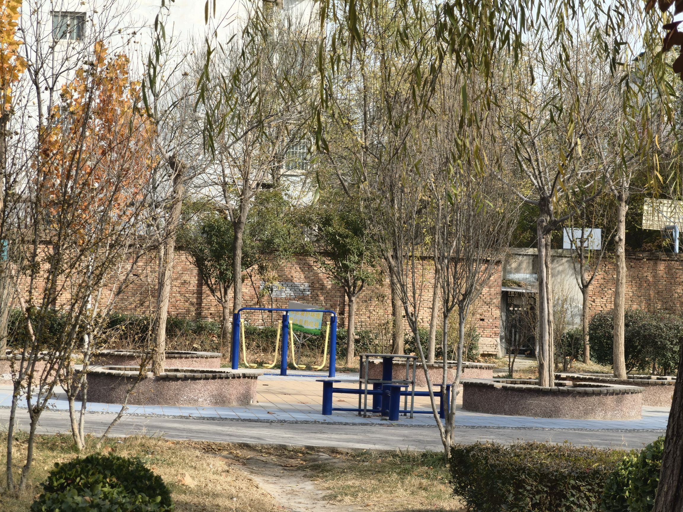 条山文化苑旅行图片 3