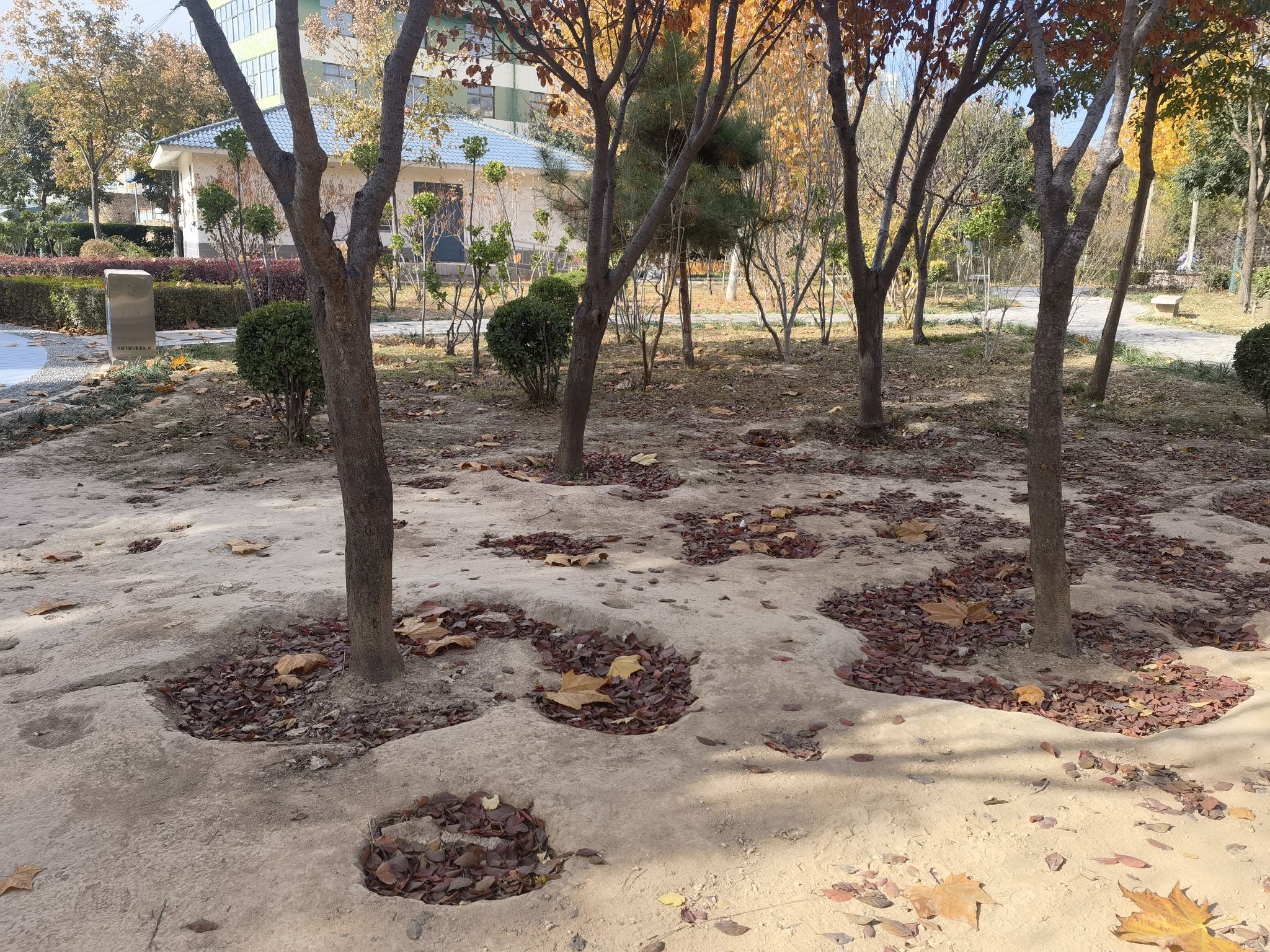 条山文化苑旅行图片 2
