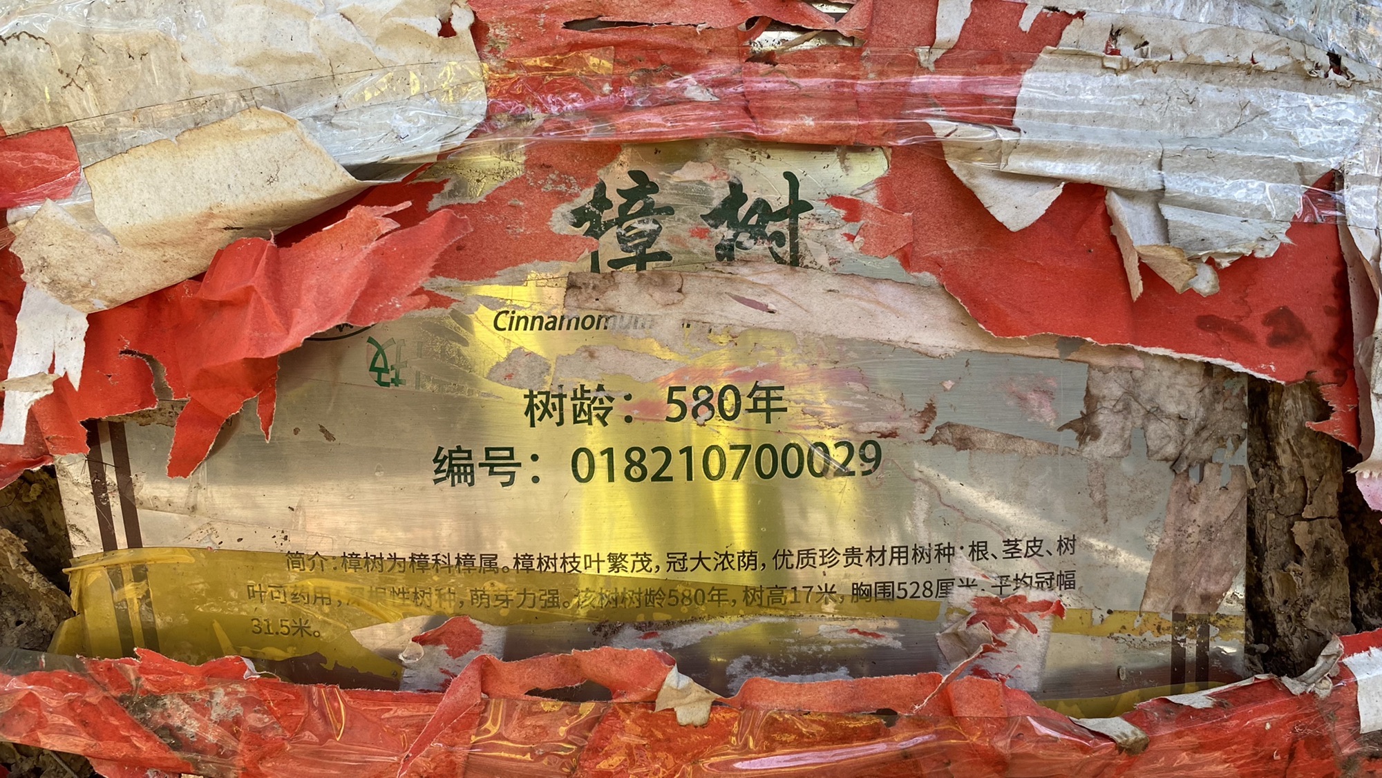 八郎庙的第2张图片的图片资料