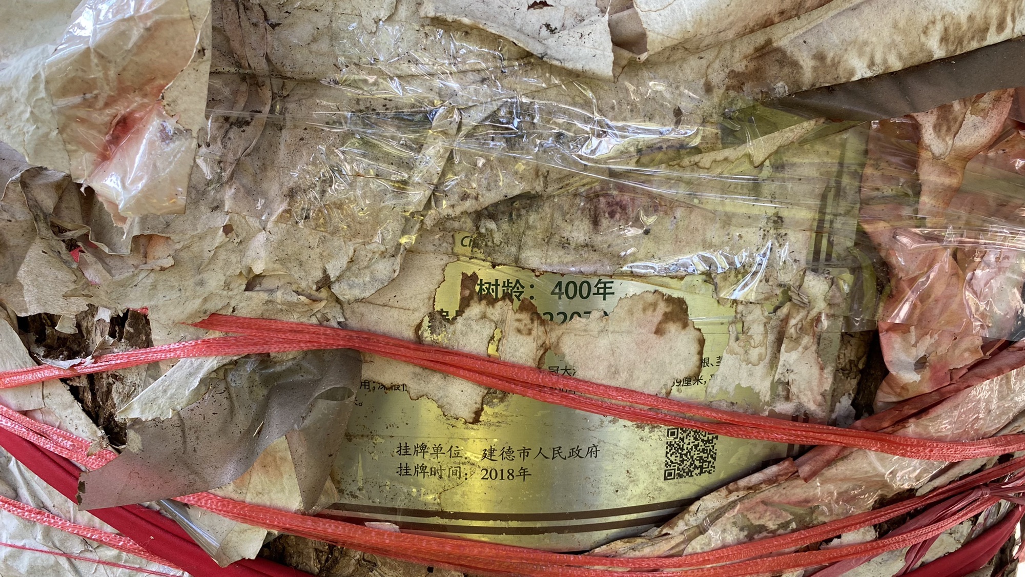 八郎庙的第3张图片的图片资料