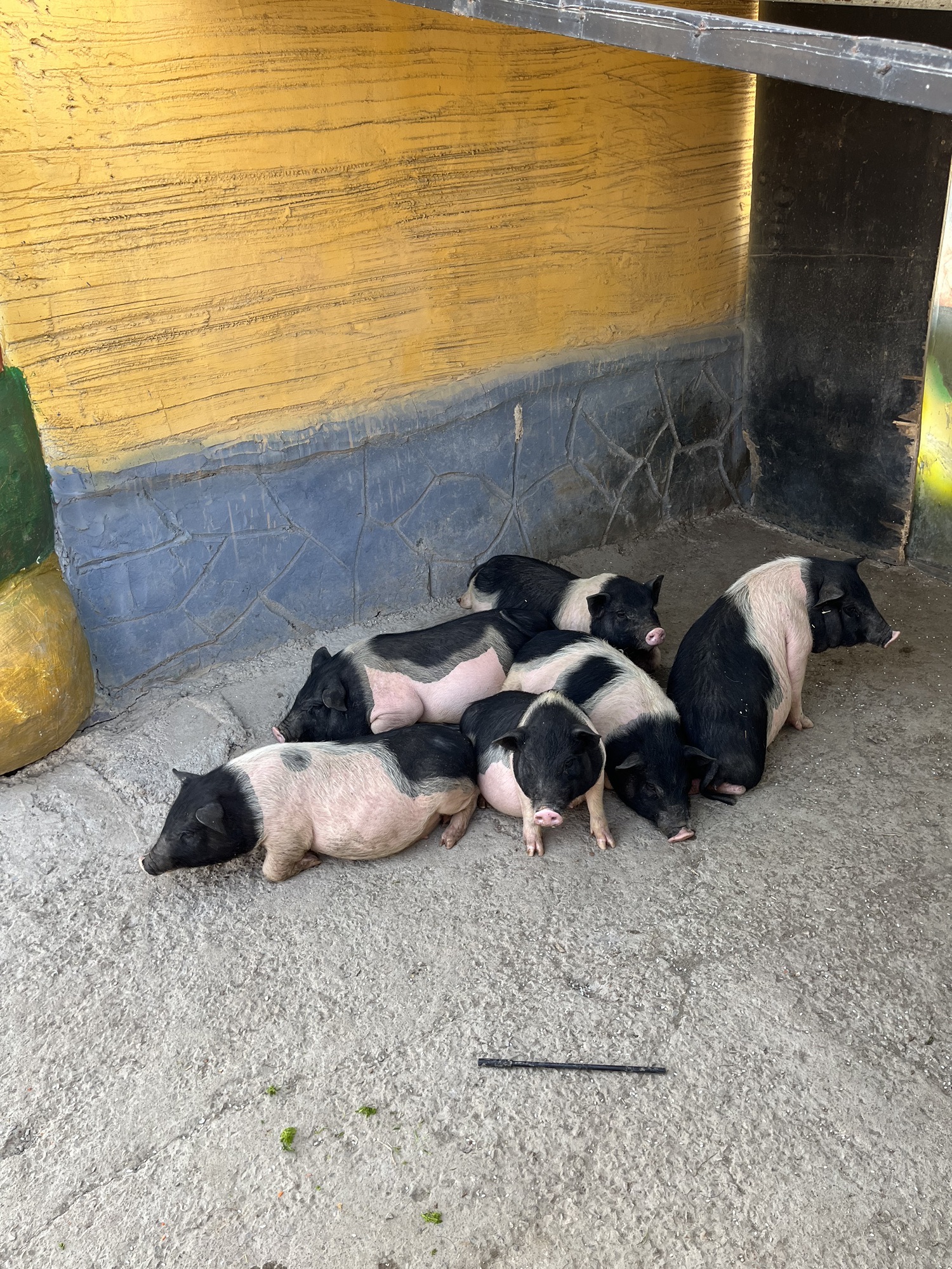 光合谷旅游度假区旅行图片 3
