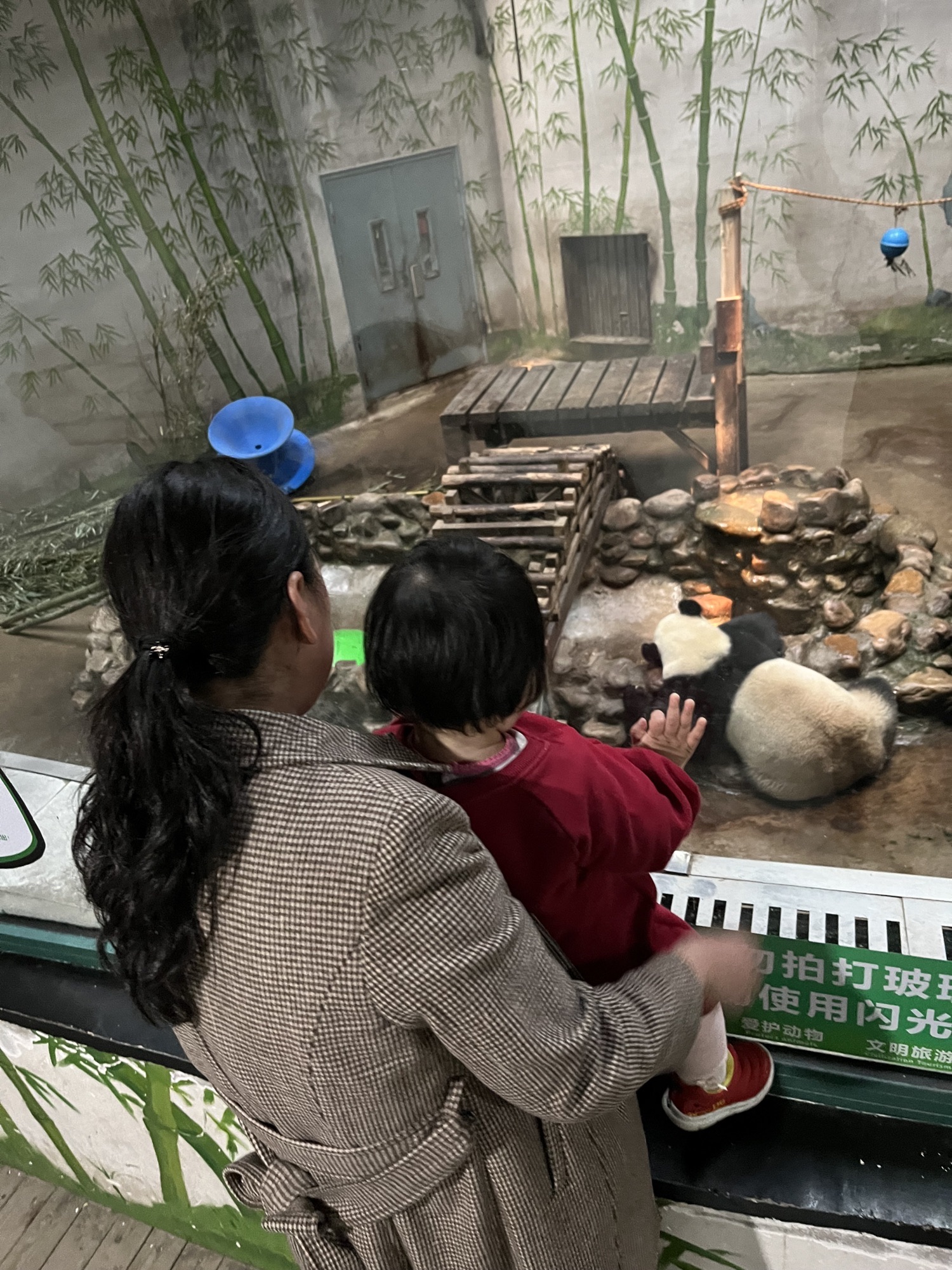 光合谷旅游度假区旅行图片 1
