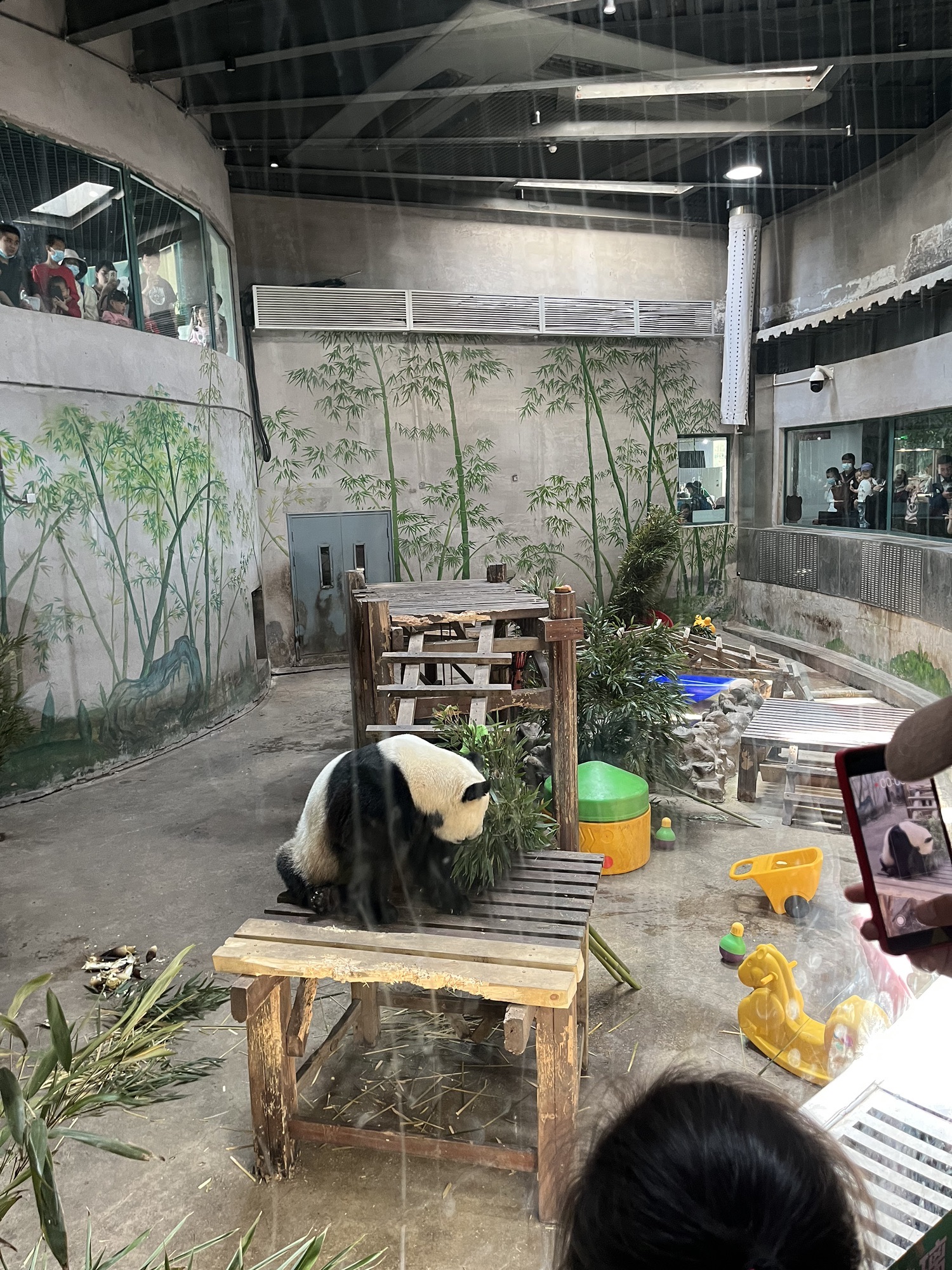 光合谷旅游度假区旅行图片 2