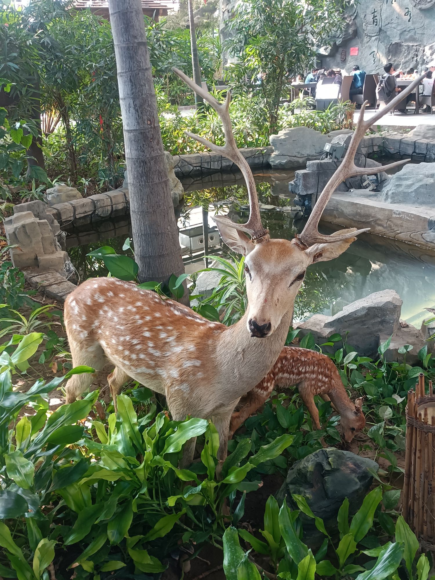 光合谷旅游度假区旅行图片 1