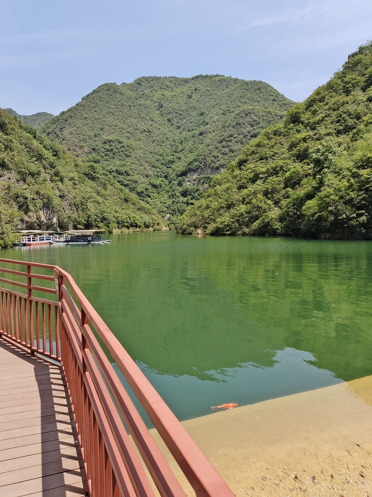 九龙瀑景区旅行图片 3