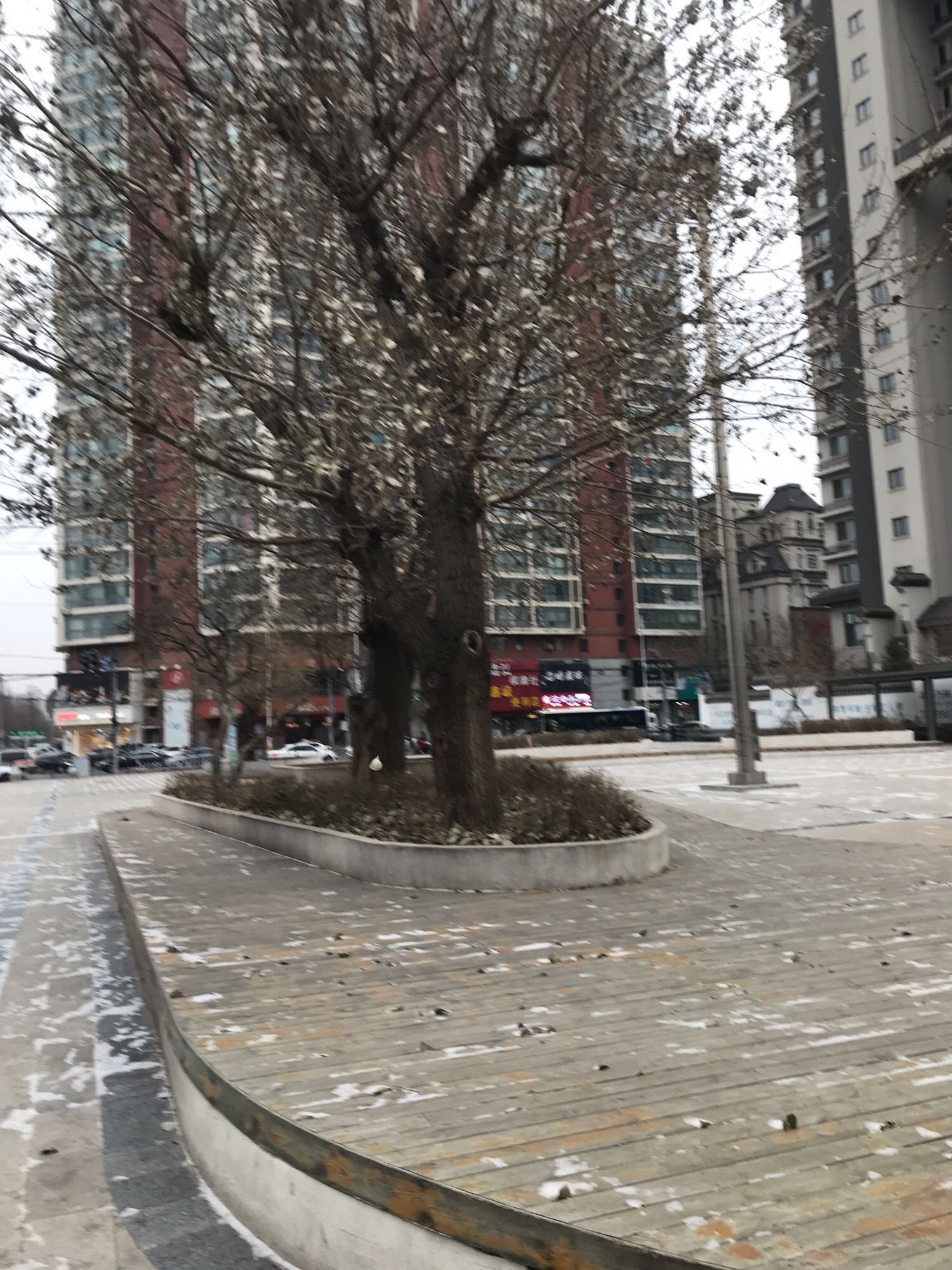 淮河公园旅行图片 3