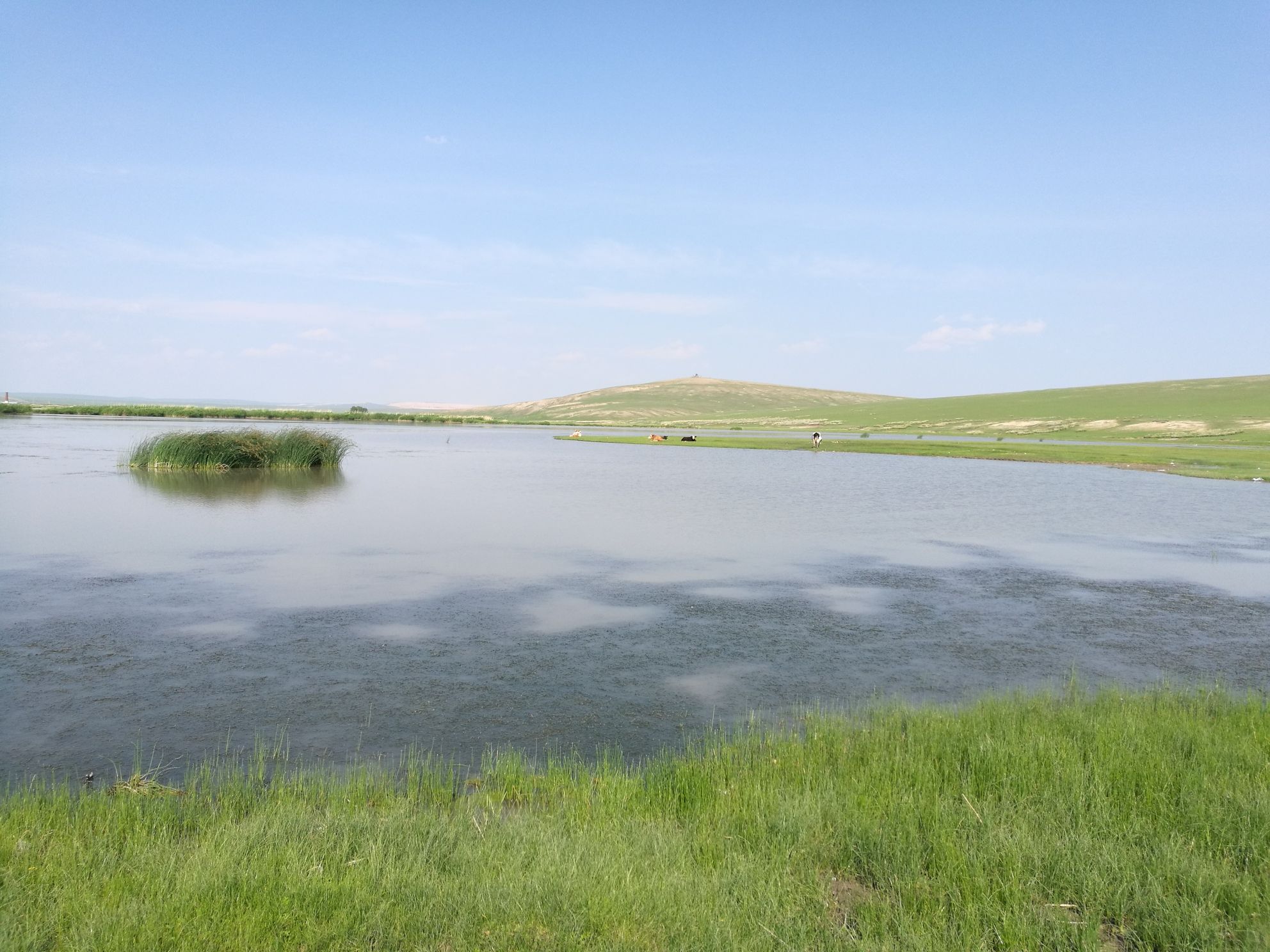 乌兰诺尔湿地旅行图片 1
