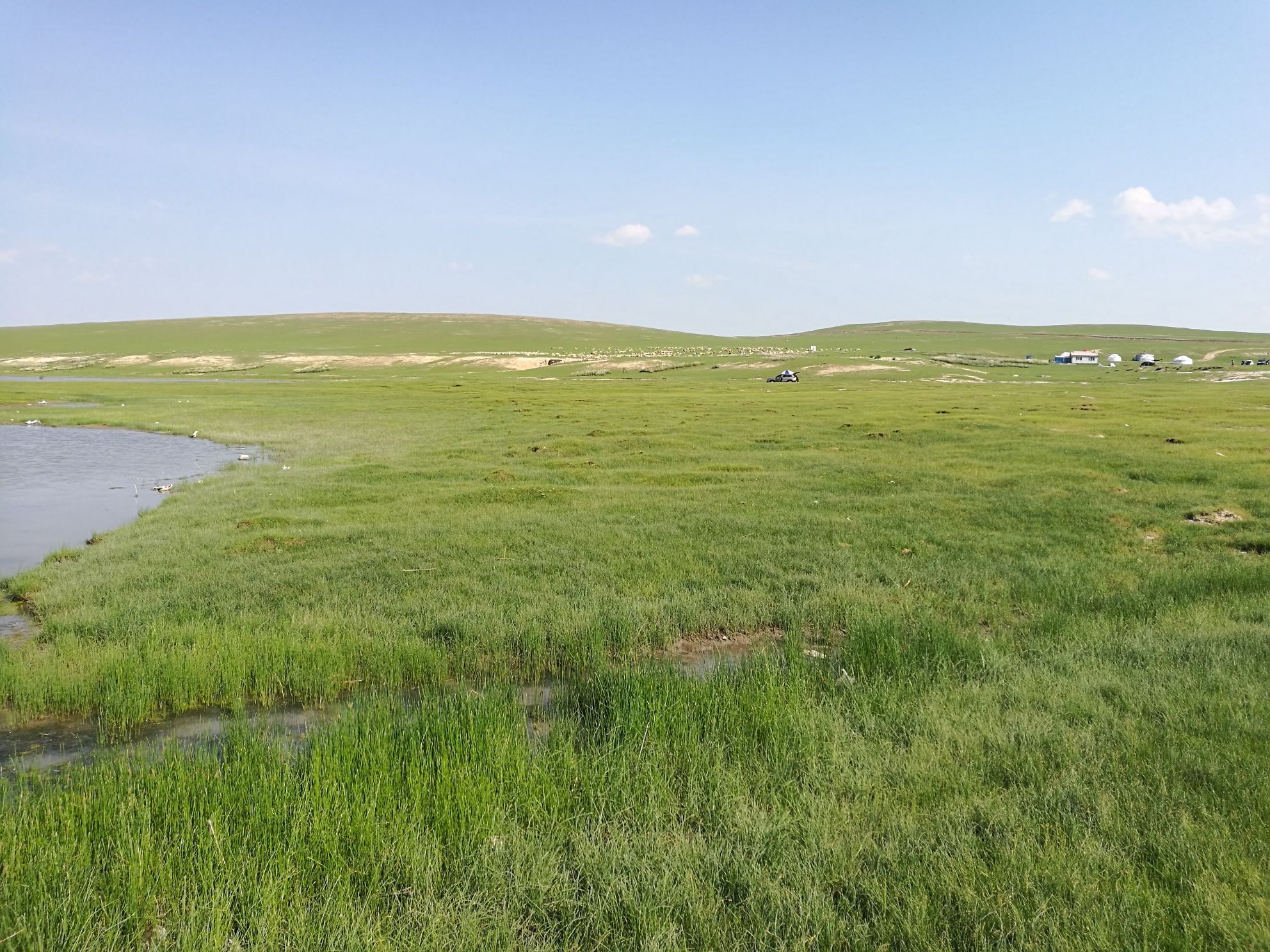 乌兰诺尔湿地旅行图片 3