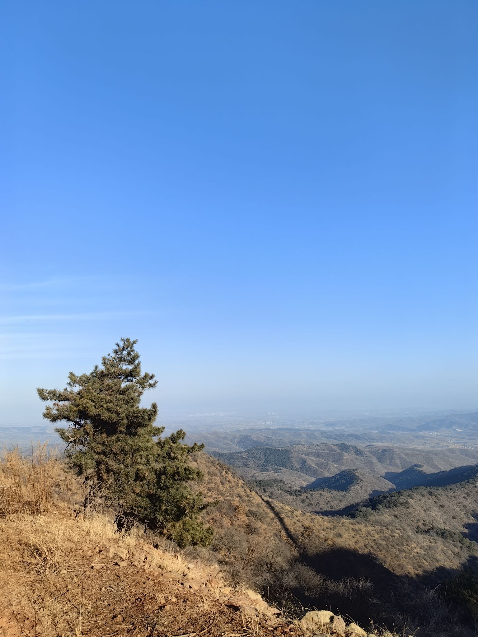 发鸠山景区旅行图片 1