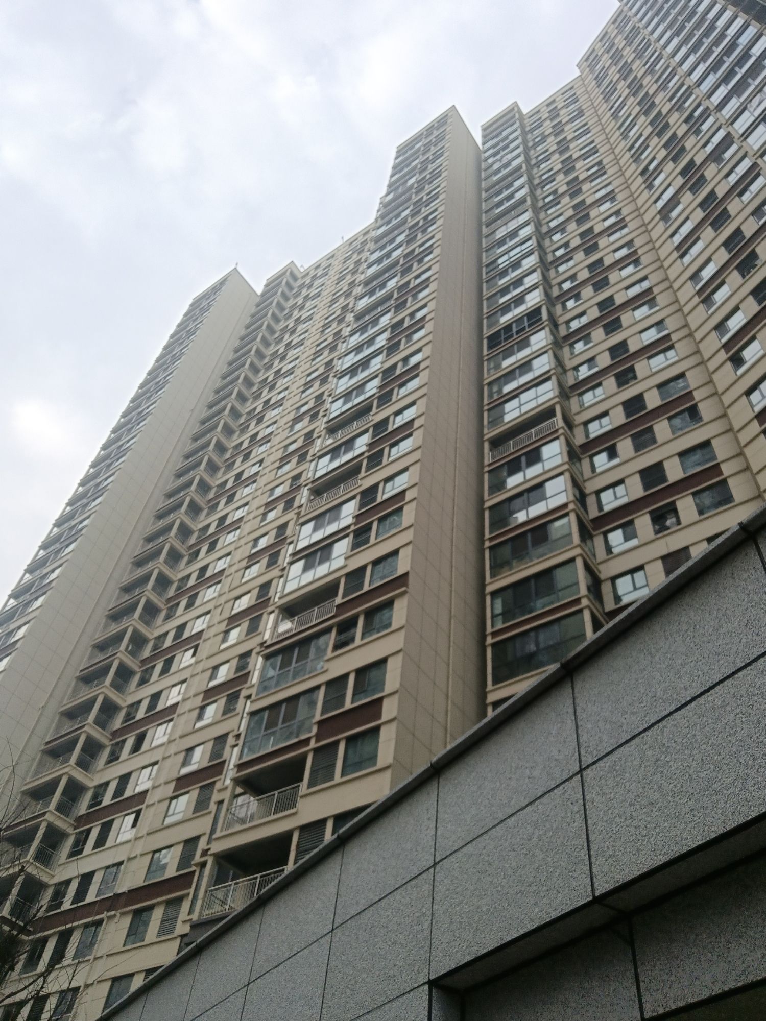 浸月园旅行图片 1