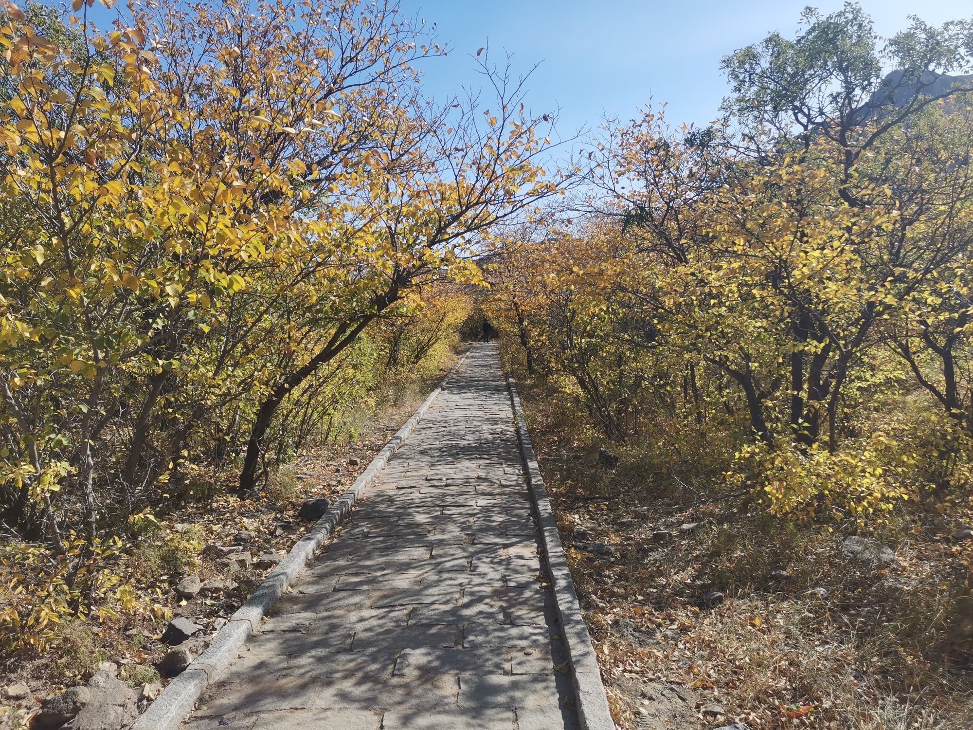 辽祖州城遗址(暂停开放)旅行图片 1