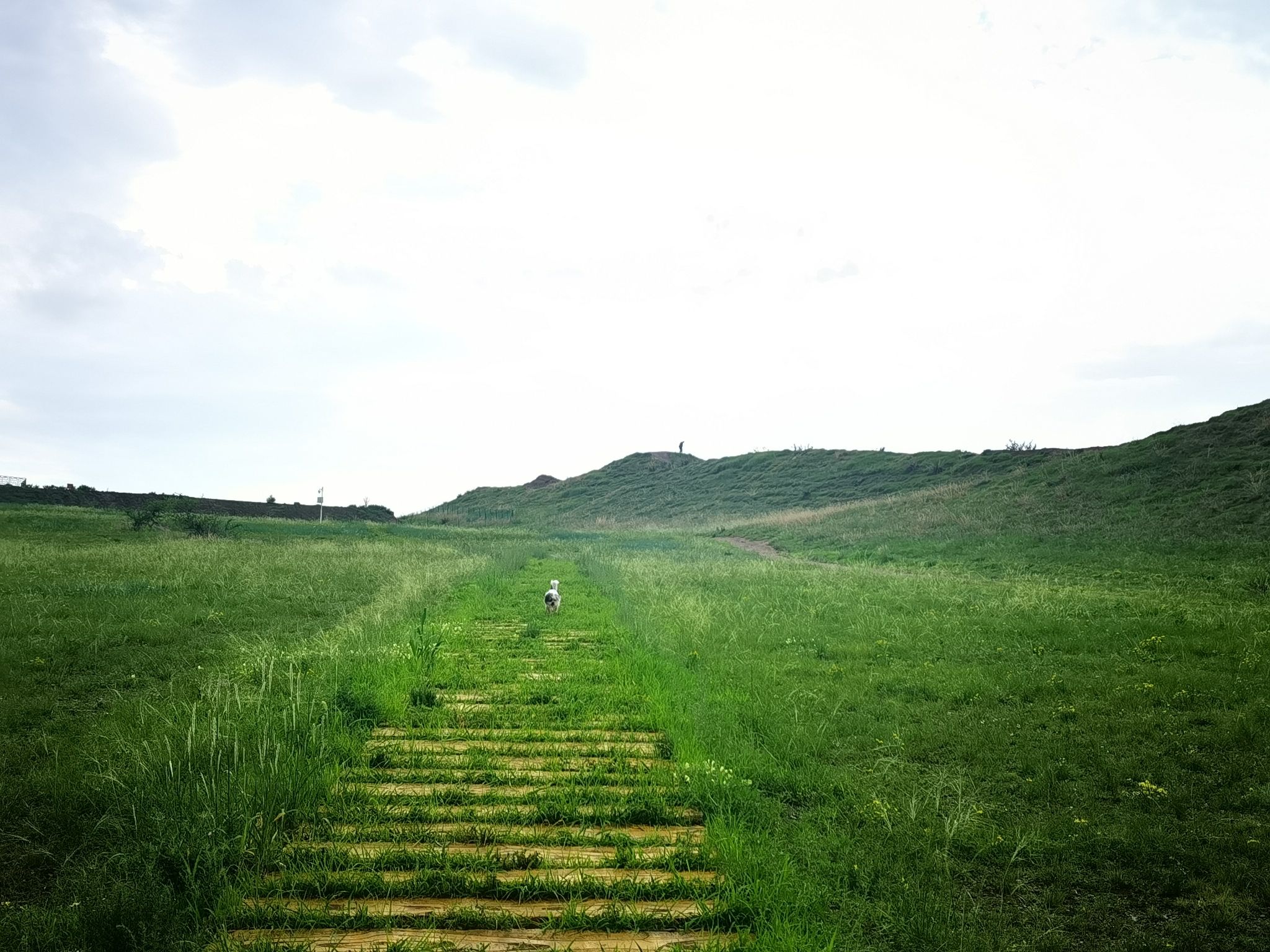 辽祖州城遗址(暂停开放)旅行图片 1
