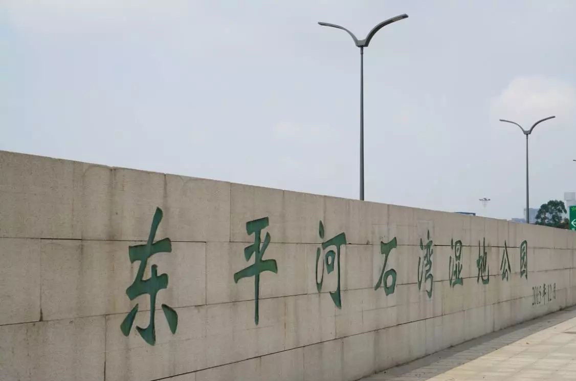 东平水道河堤公园旅行图片 1