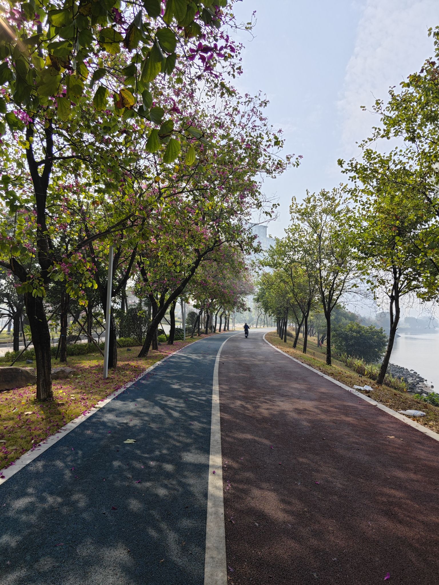 东平水道河堤公园旅行图片 2