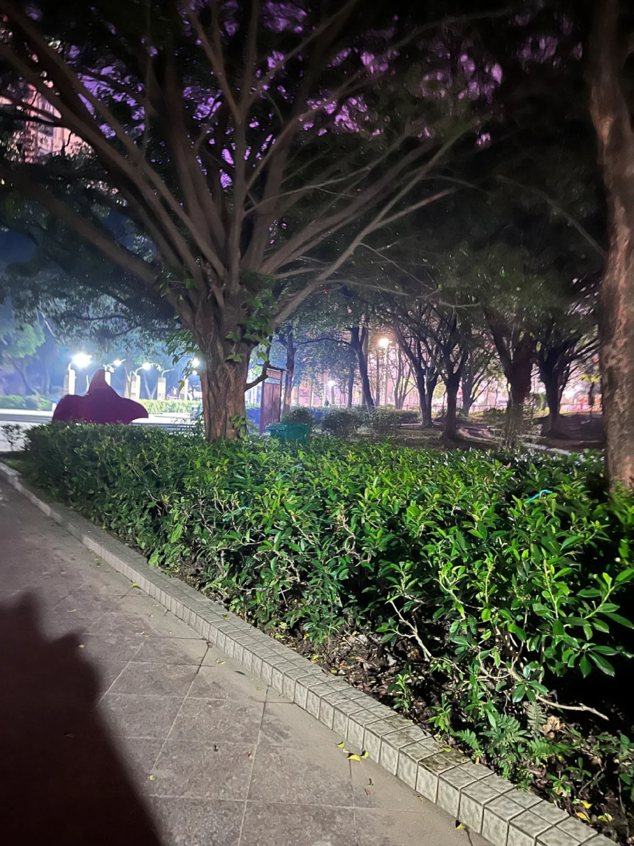厦寺公园旅行图片 1