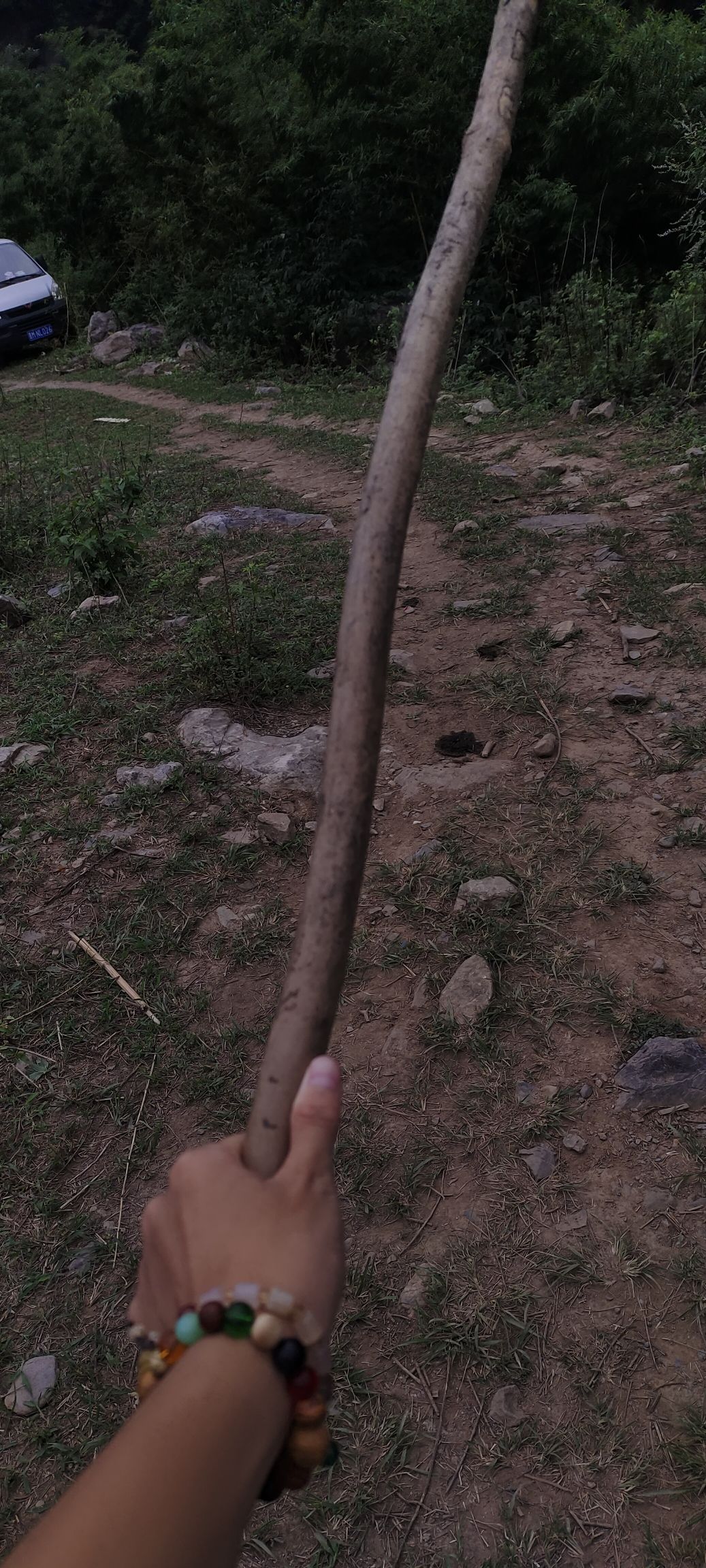 鸟鸣涧风景区旅行图片 2