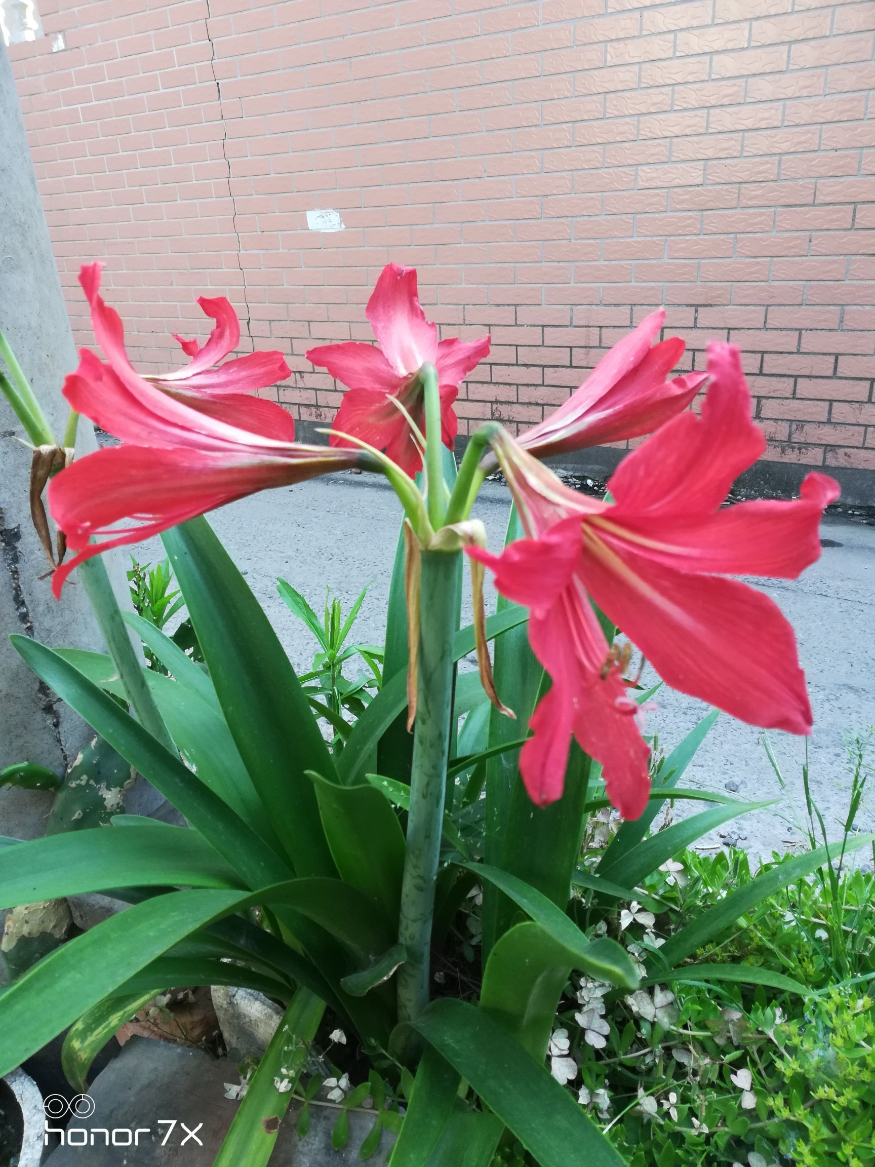 鸟鸣涧风景区旅行图片 1