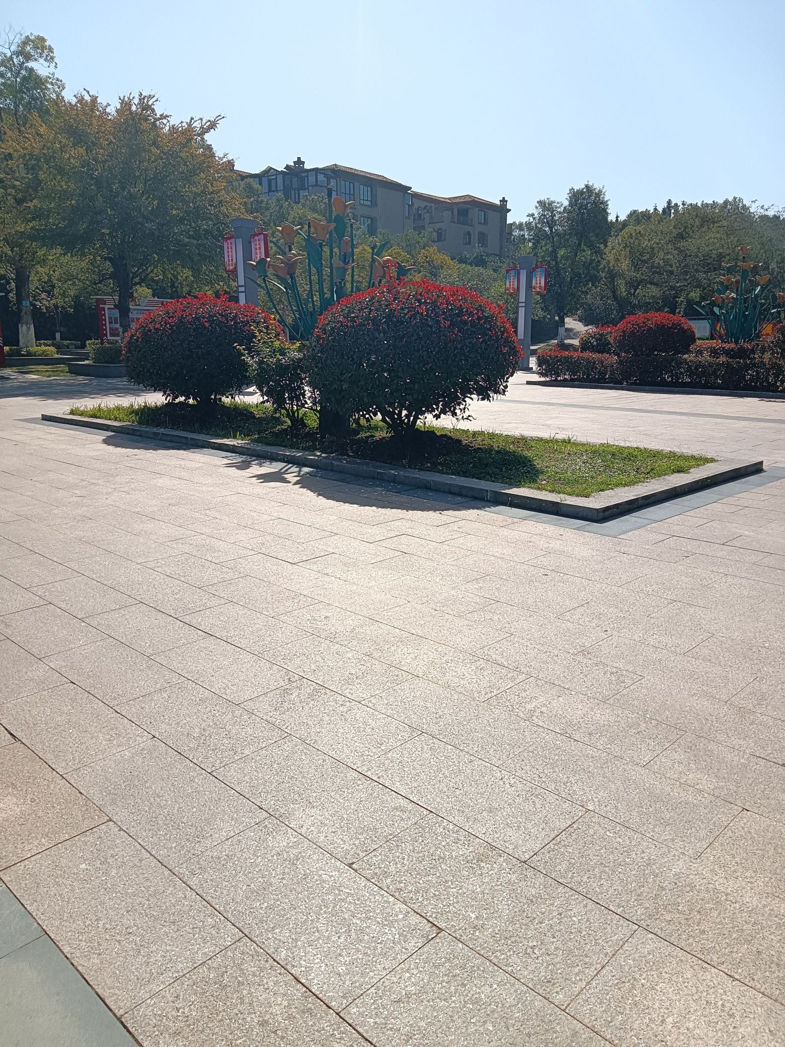 龙山公园旅行图片 3