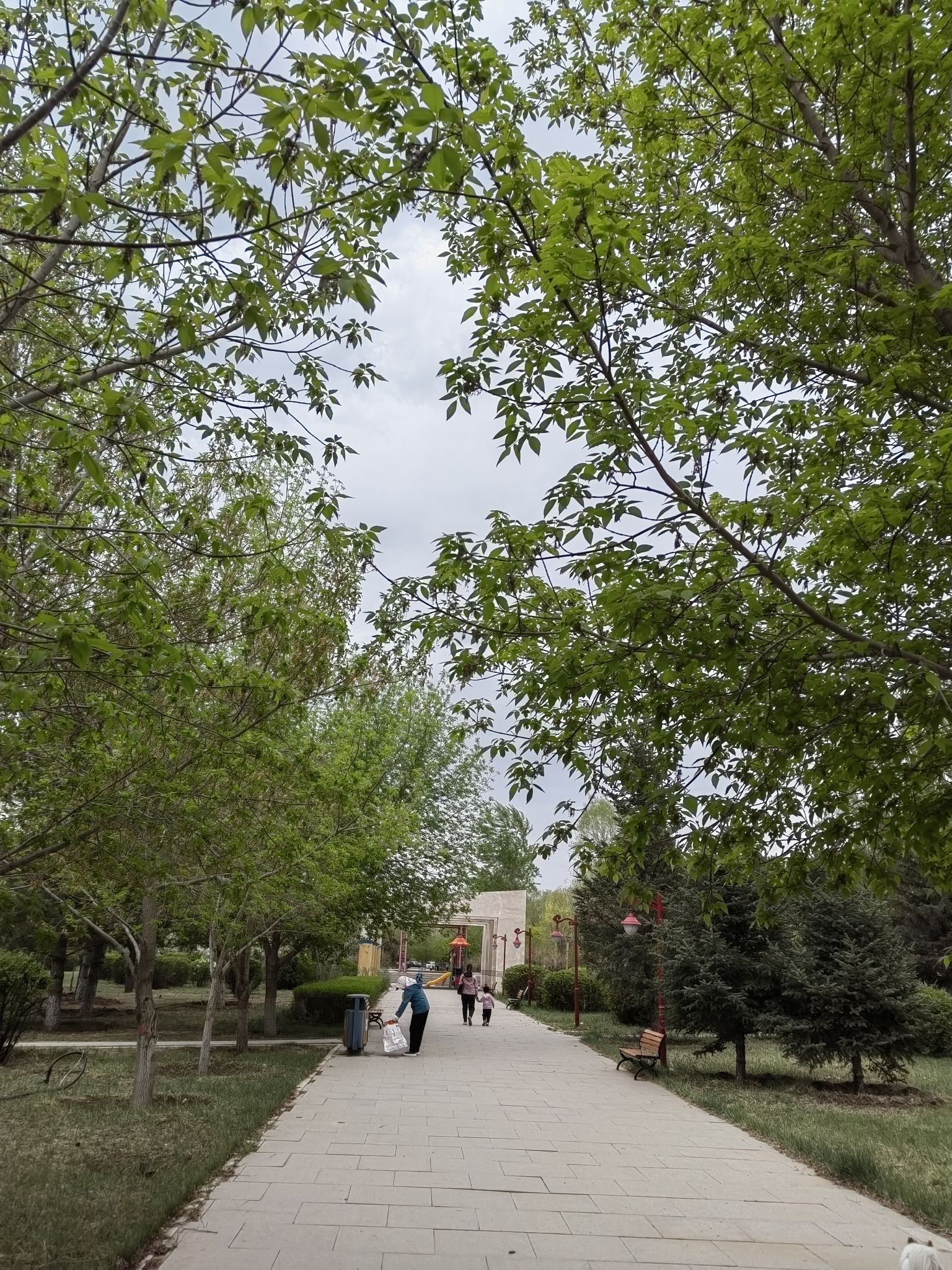 逸园公园旅行图片 3