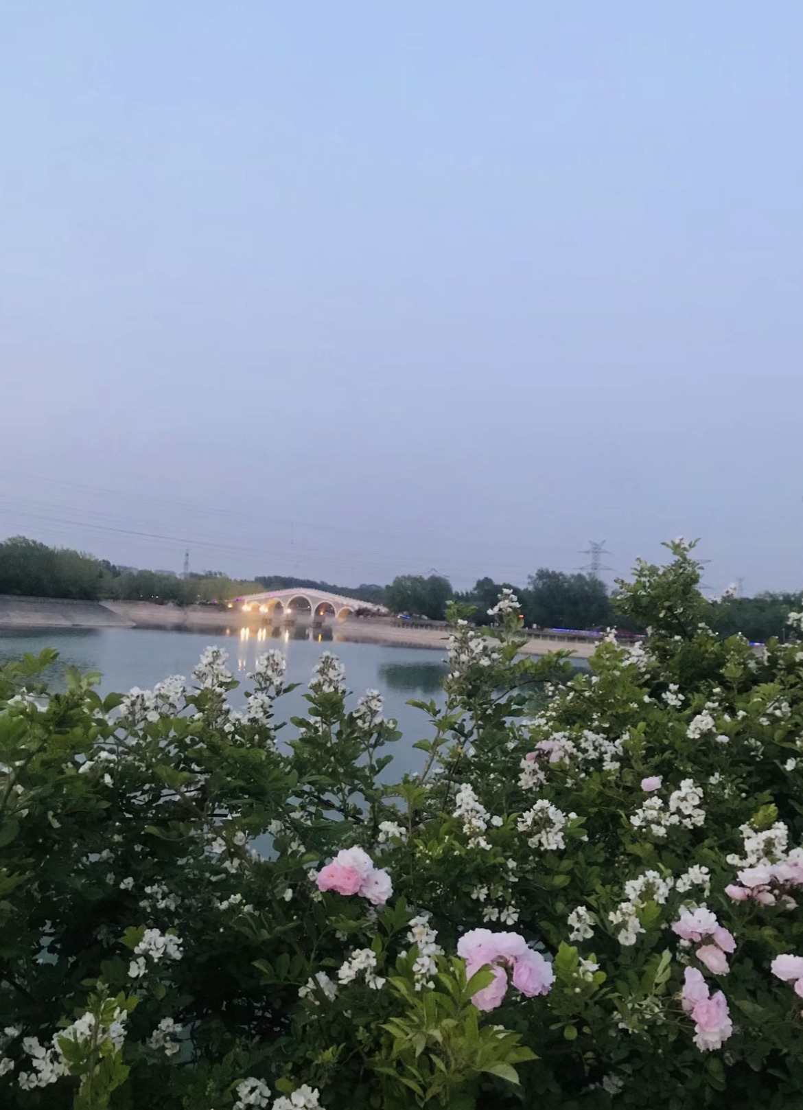 三善·恭敬园旅行图片 2