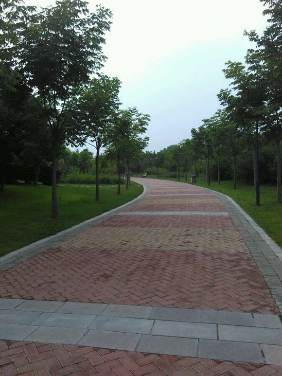 三善·恭敬园旅行图片 3