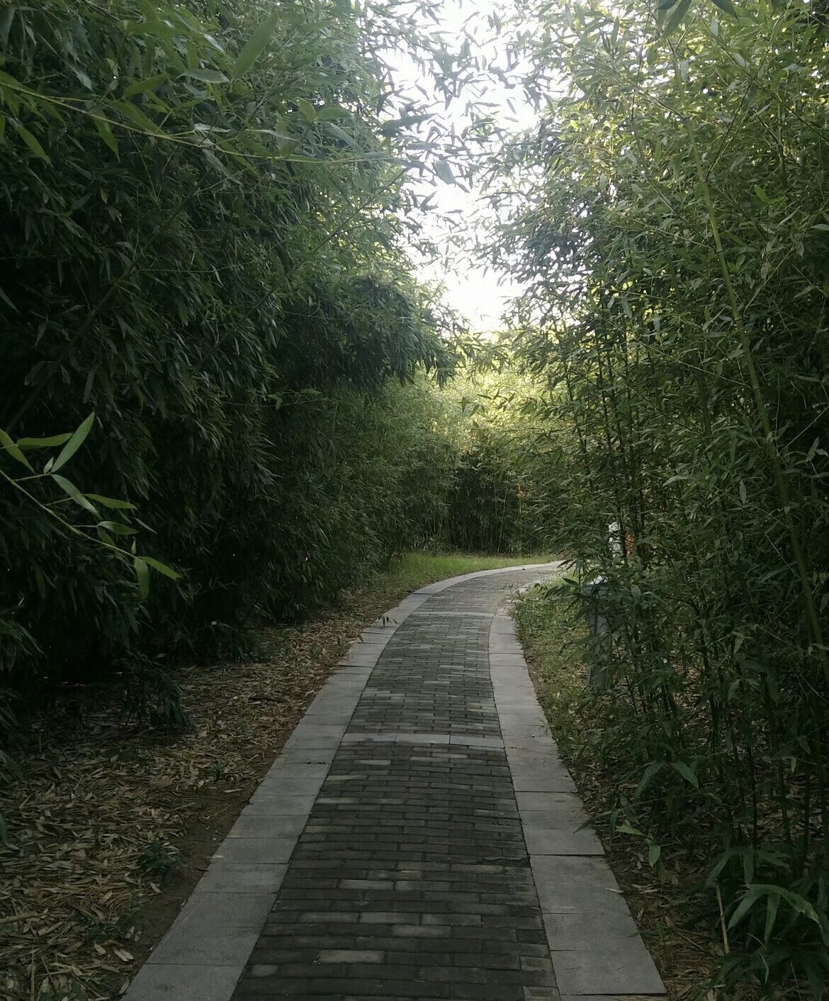 三善·恭敬园旅行图片 3