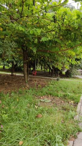 江灏公园旅行图片 3