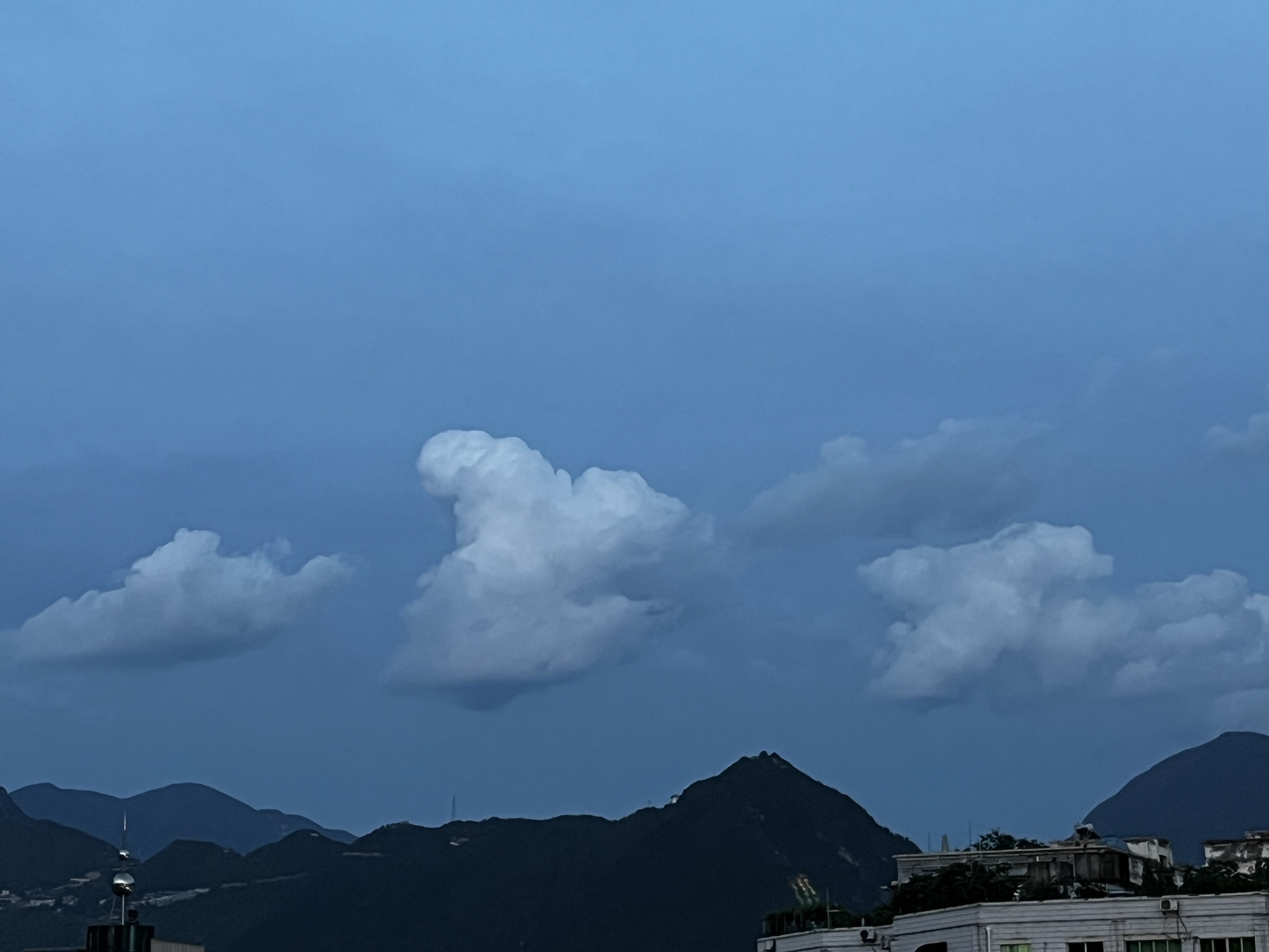 朝云公园旅行图片 2