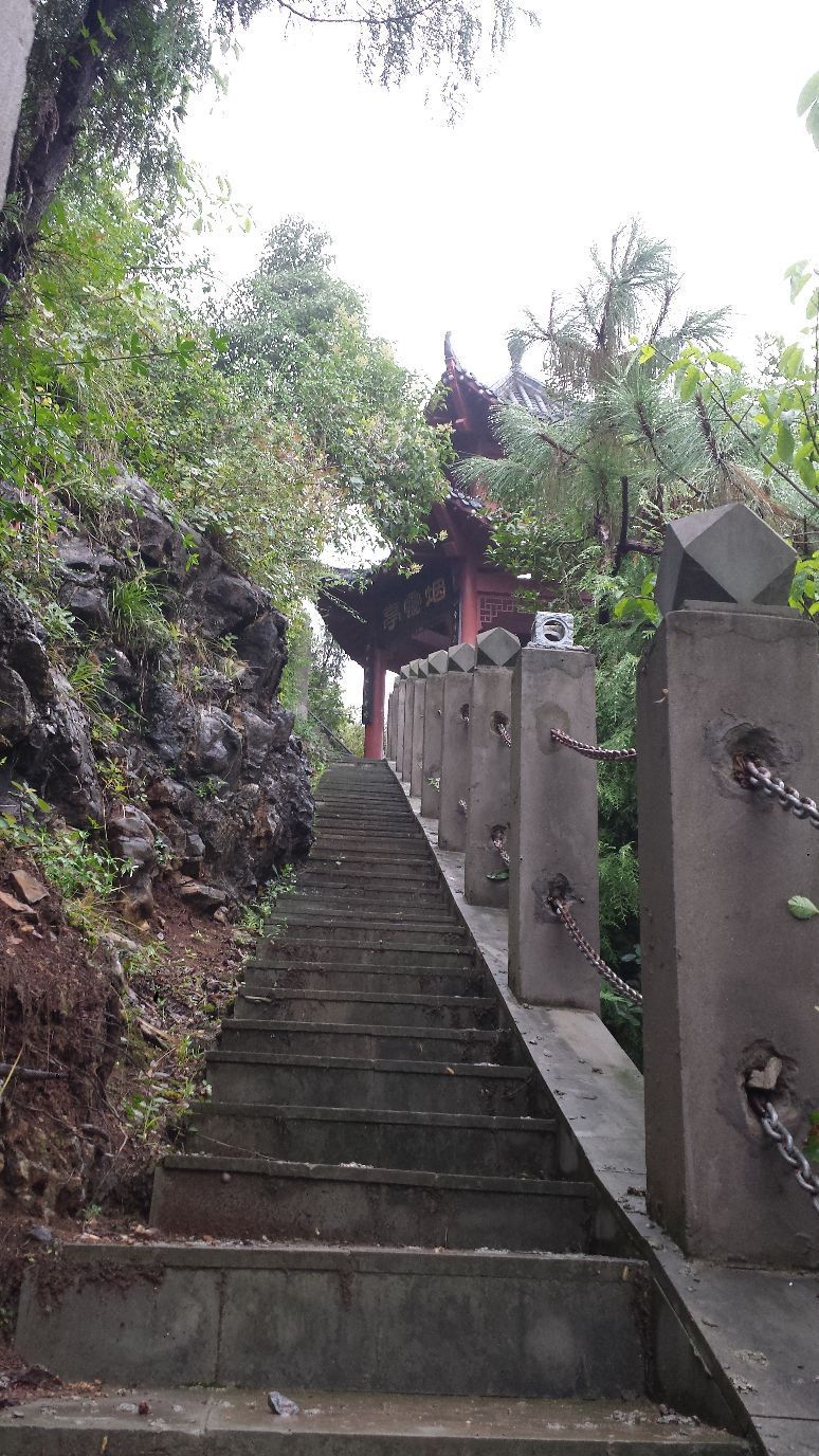 朝云公园旅行图片 2