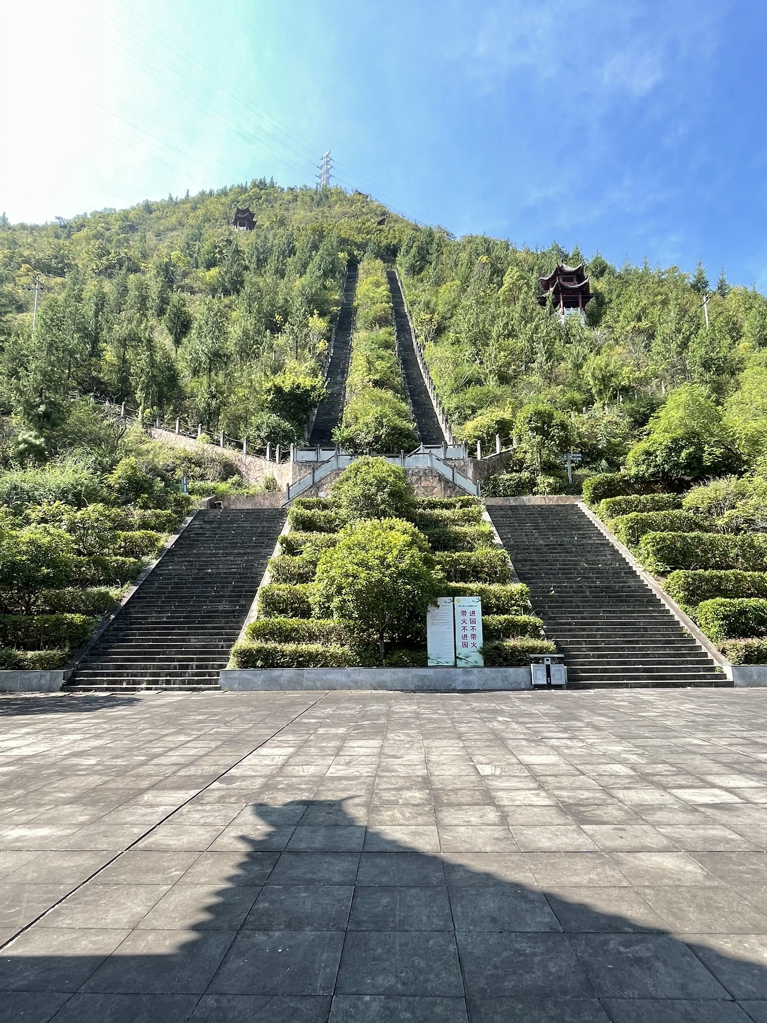 朝云公园旅行图片 1