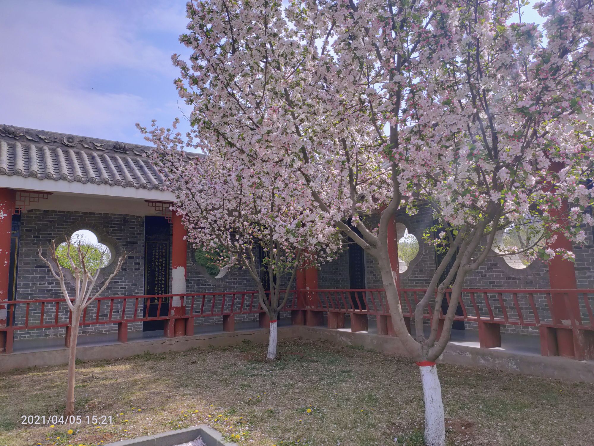 吴王山森林公园旅行图片 3