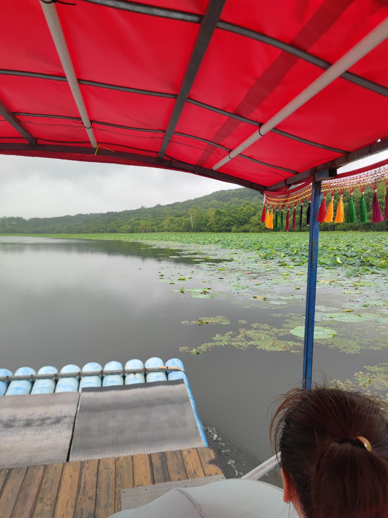莲花湖公园旅行图片 1