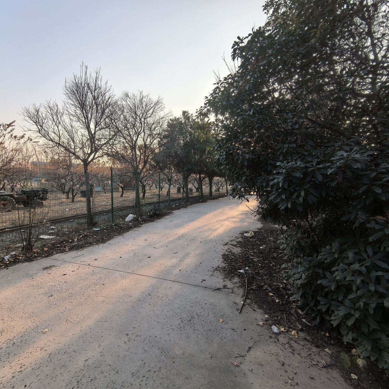 紫金山生态园旅行图片 3