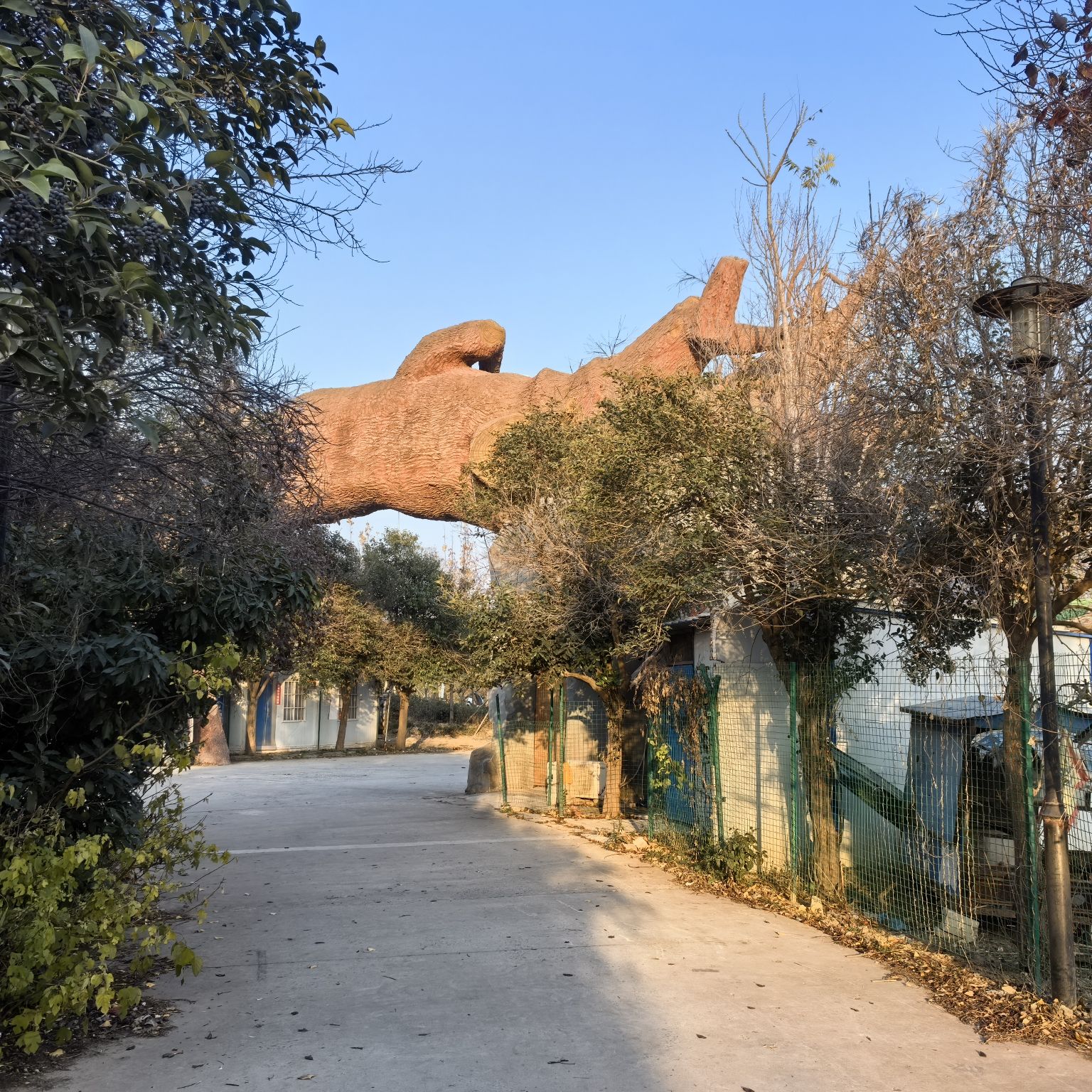 紫金山生态园旅行图片 1