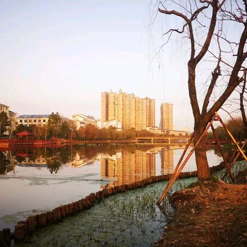 杨家湖湿地公园旅行图片 3