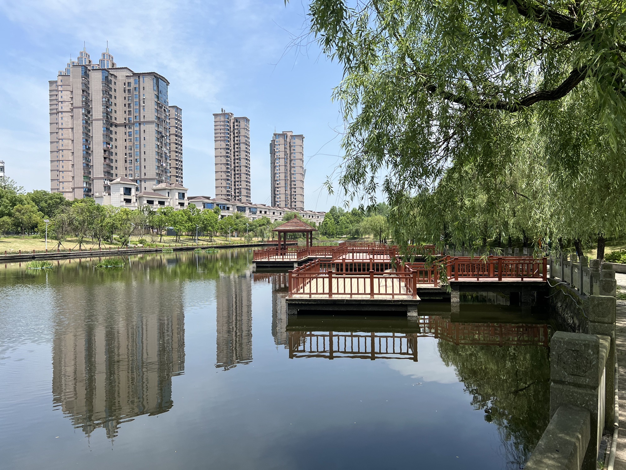 杨家湖湿地公园旅行图片 1