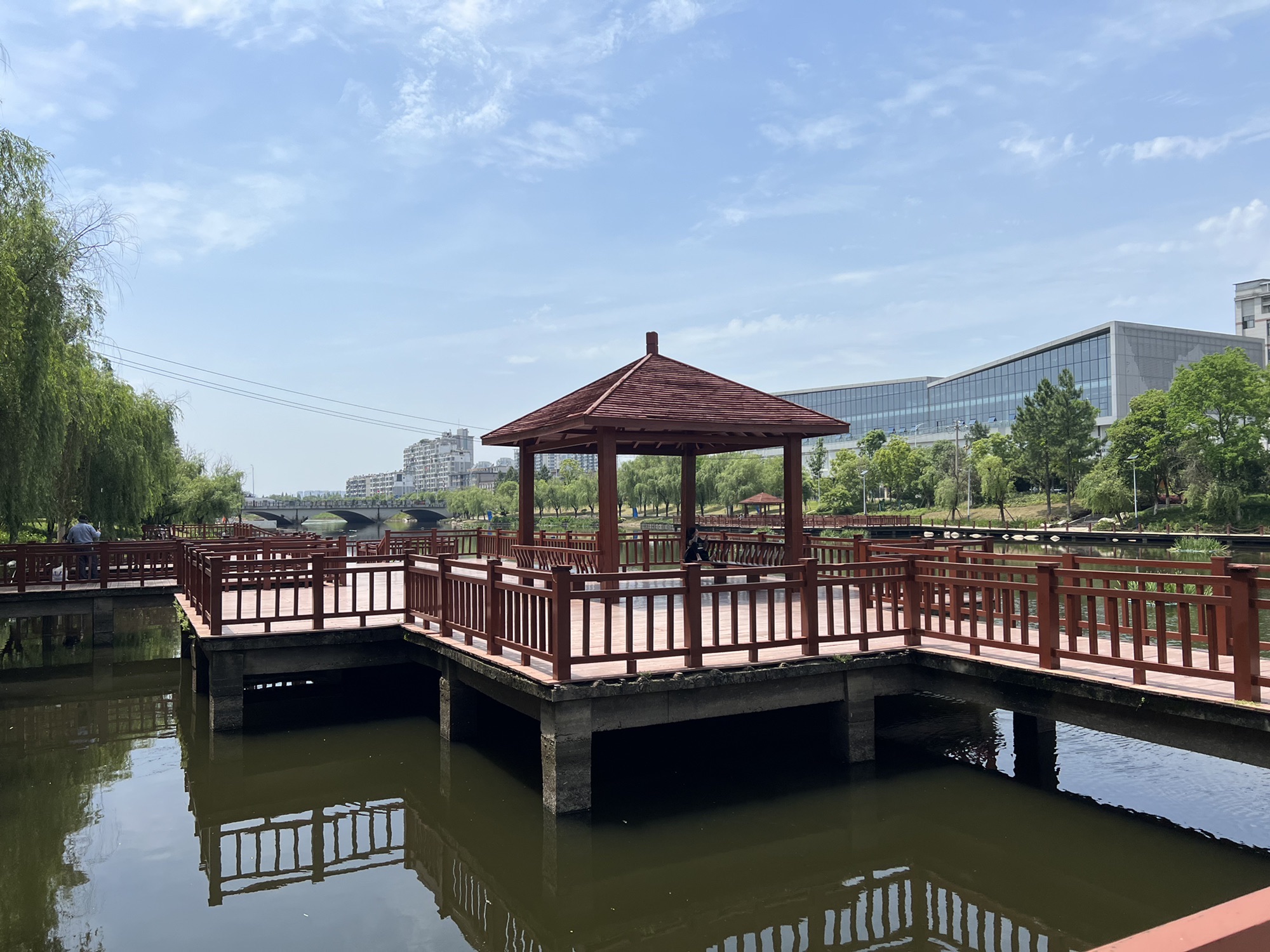 杨家湖湿地公园旅行图片 3