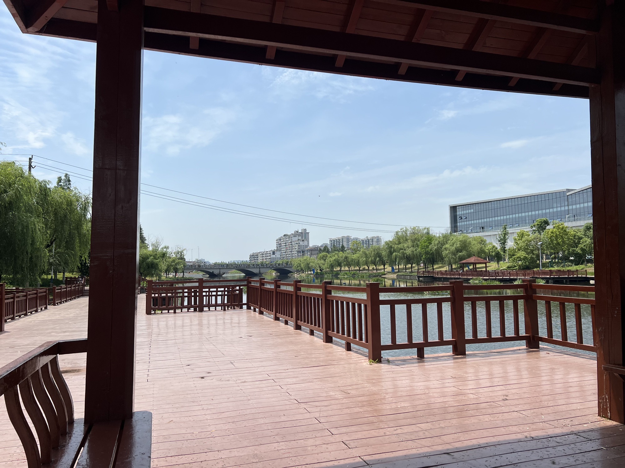 杨家湖湿地公园旅行图片 2