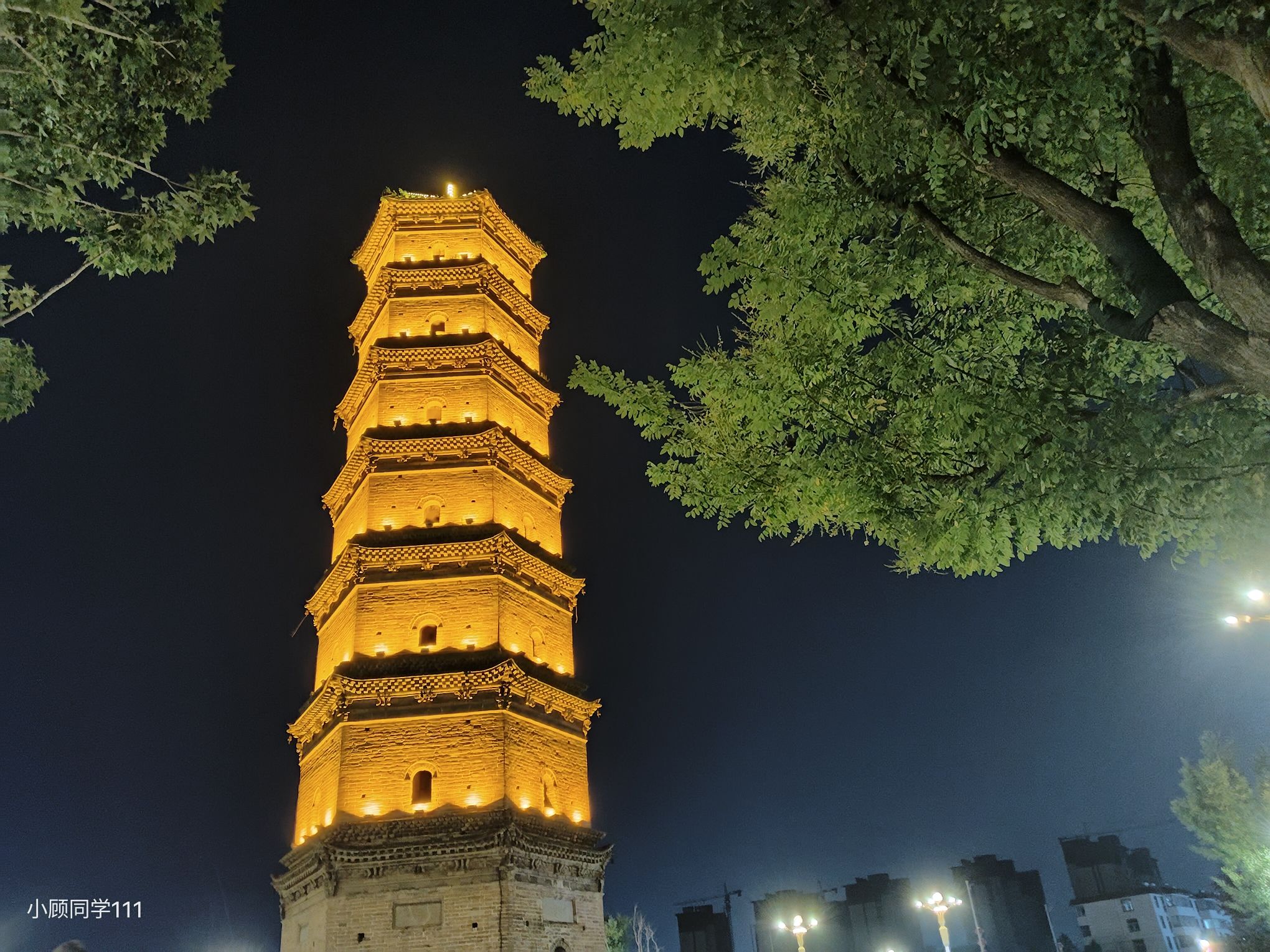 镇国塔旅行图片 1