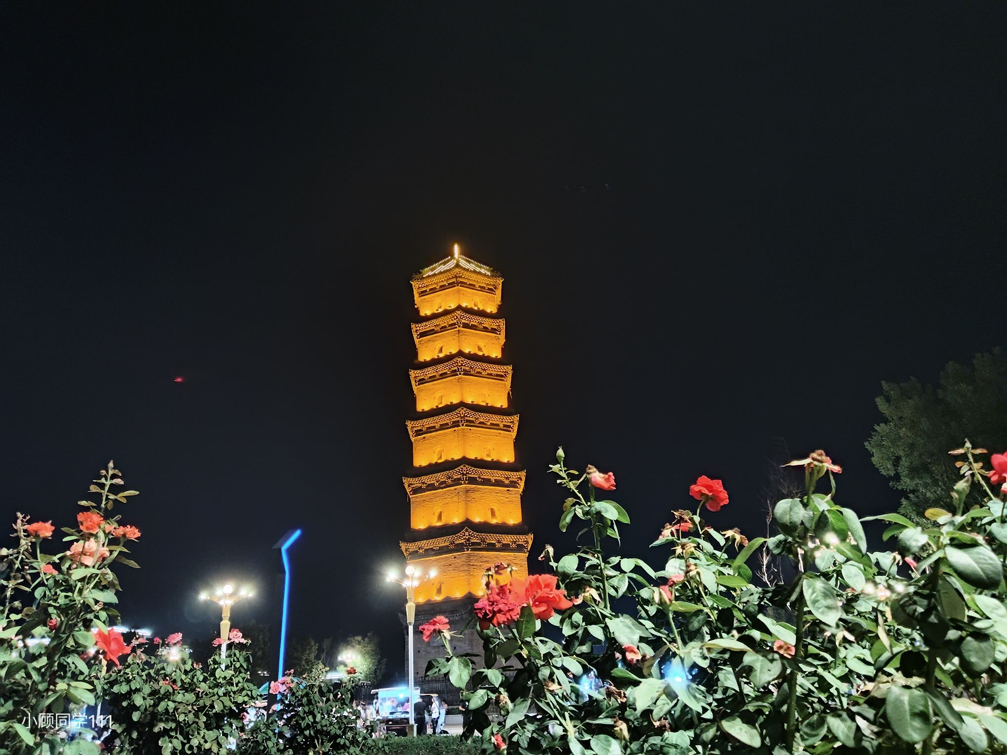 镇国塔旅行图片 3