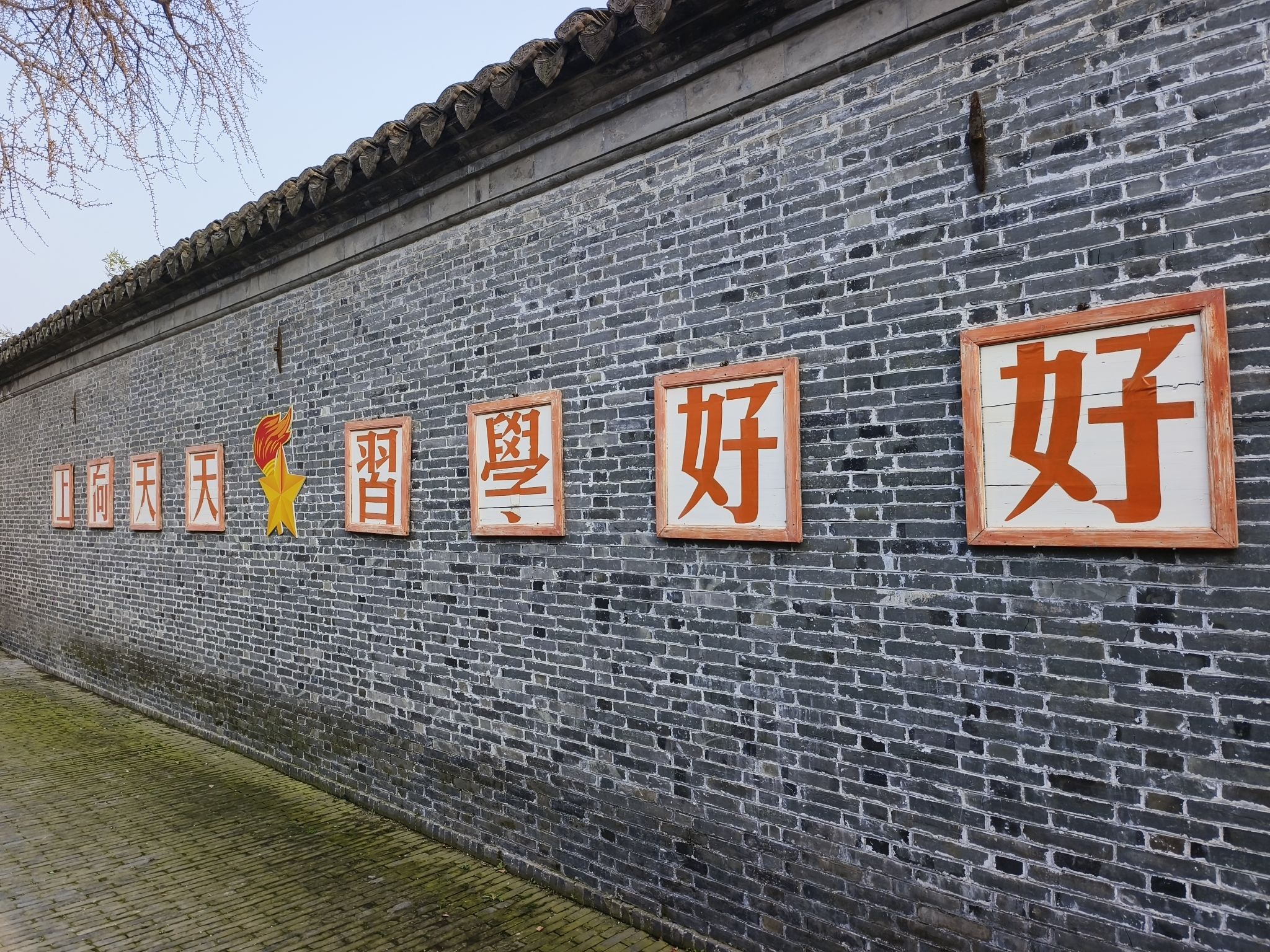 稻河古街区旅行图片 2