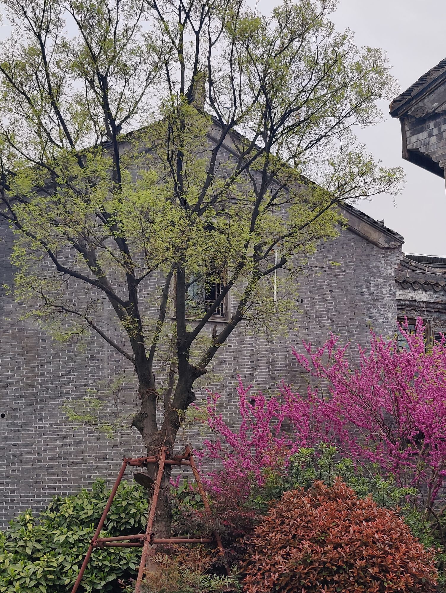 稻河古街区旅行图片 3
