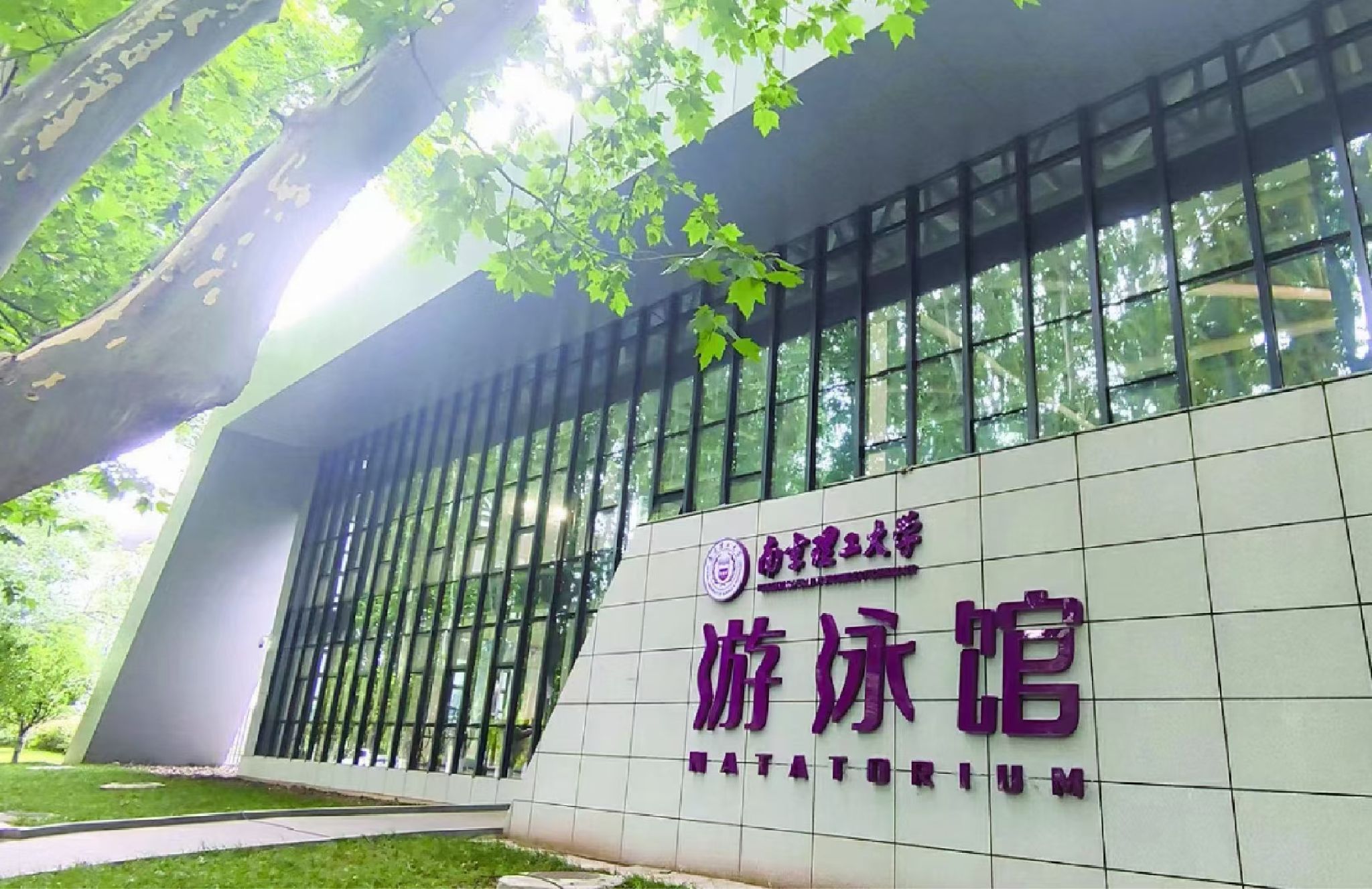 场地封面-南京理工大学南京校区游泳馆