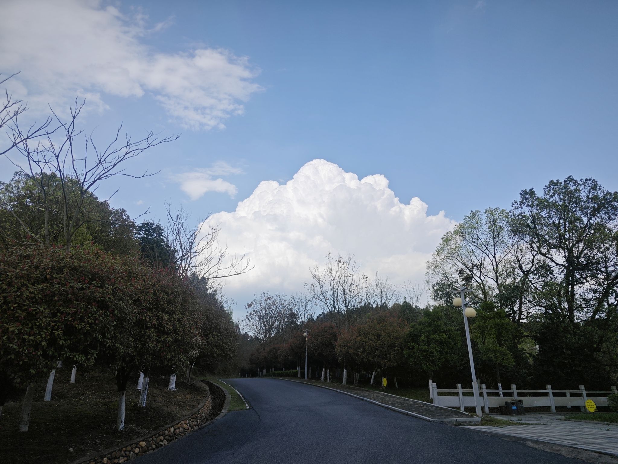 宜春禅都文化博览园旅行图片 1