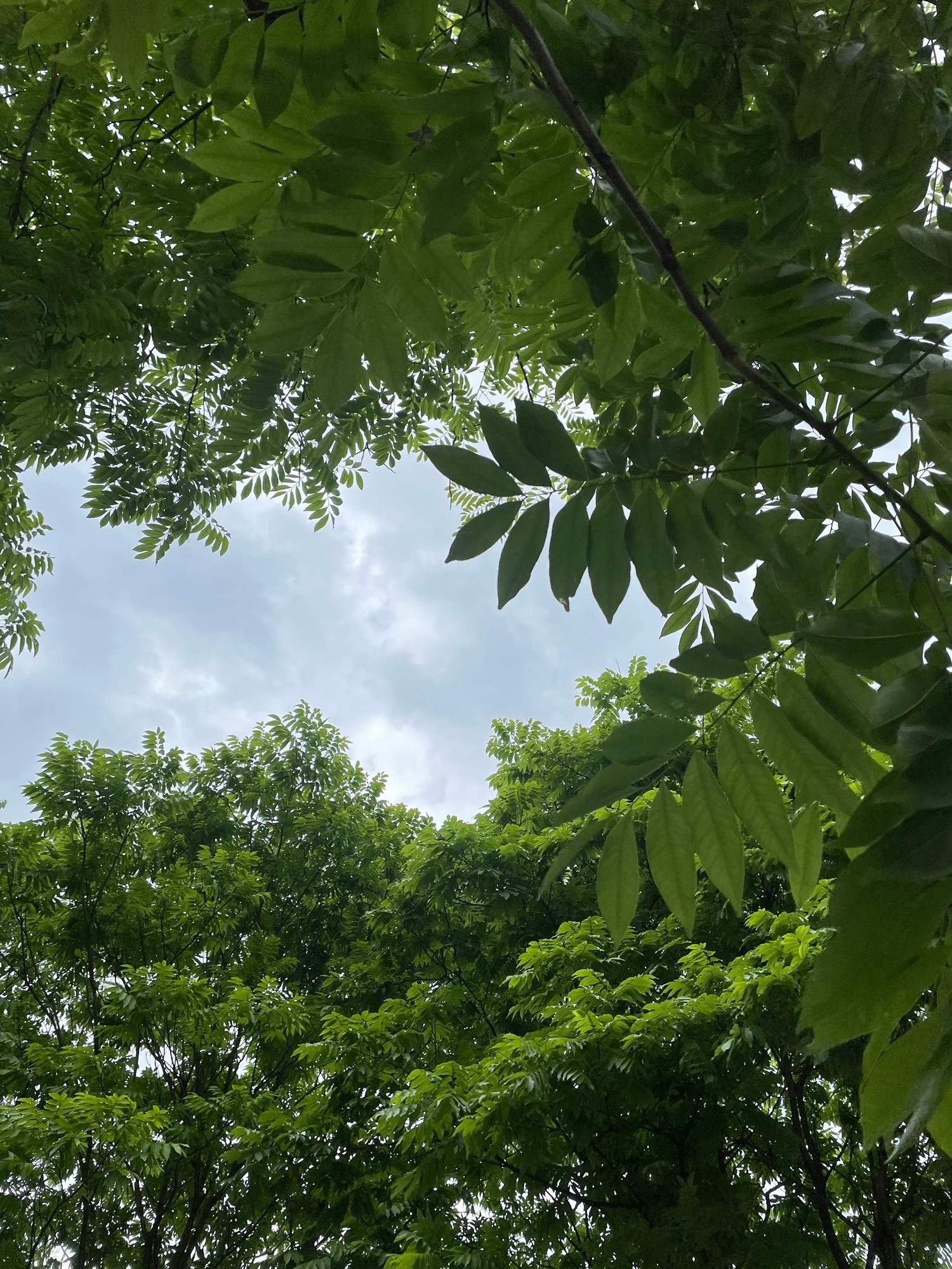 宜春禅都文化博览园旅行图片 1