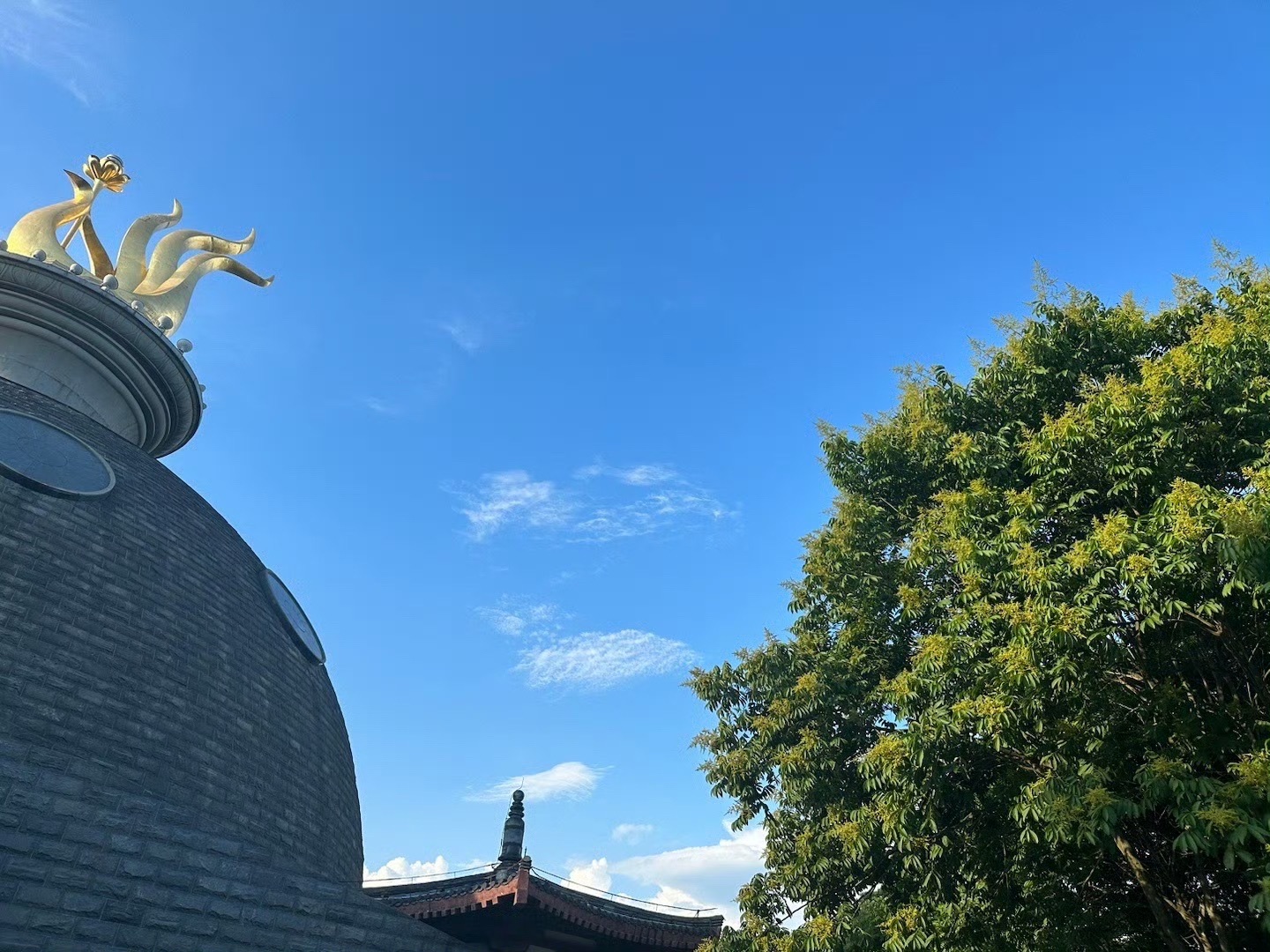 宜春禅都文化博览园旅行图片 2