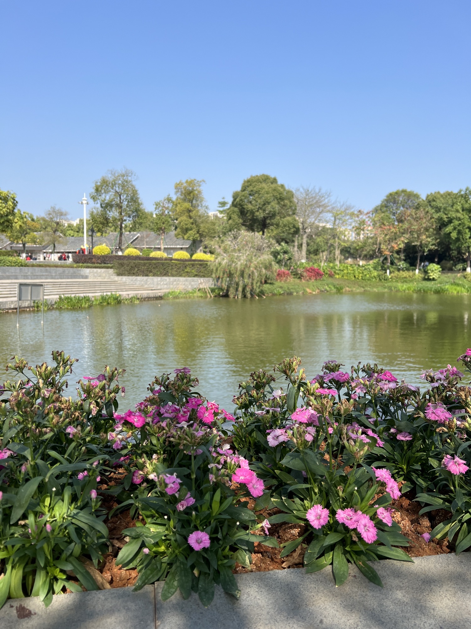 孝德湖公园旅行图片 3